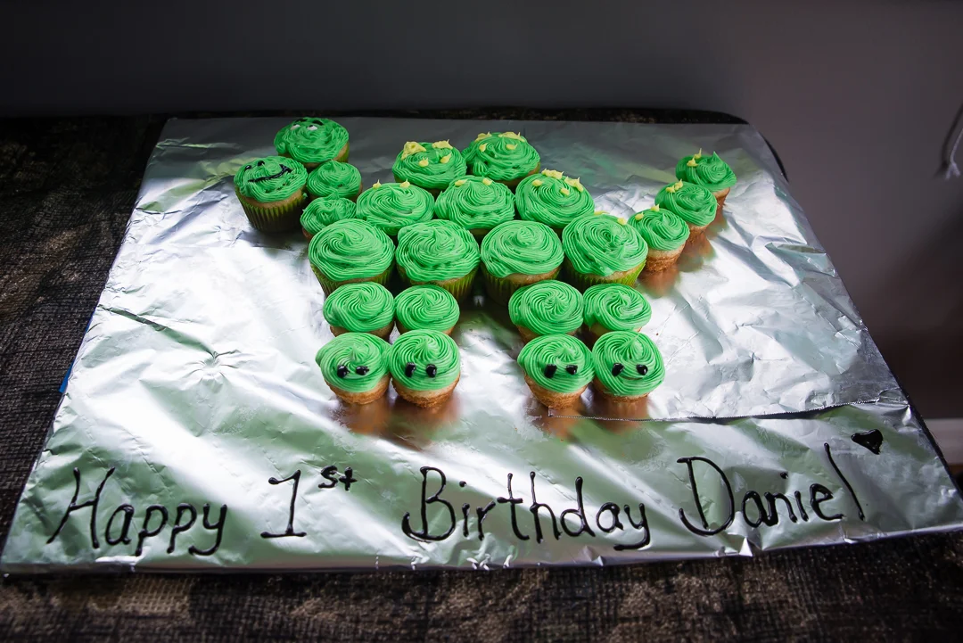 Naomi Lucienne Photography - First Birthday - 1708052445.jpg