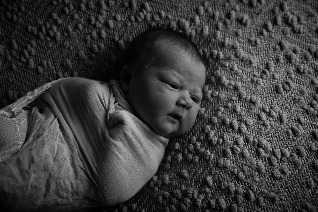 40Naomi Lucienne Photography - Newborn - 170809.jpg