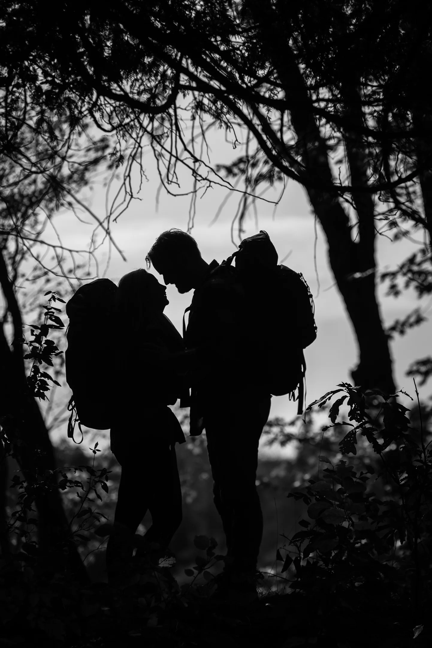 Naomi Lucienne Photography - Couples - 170923105.jpg
