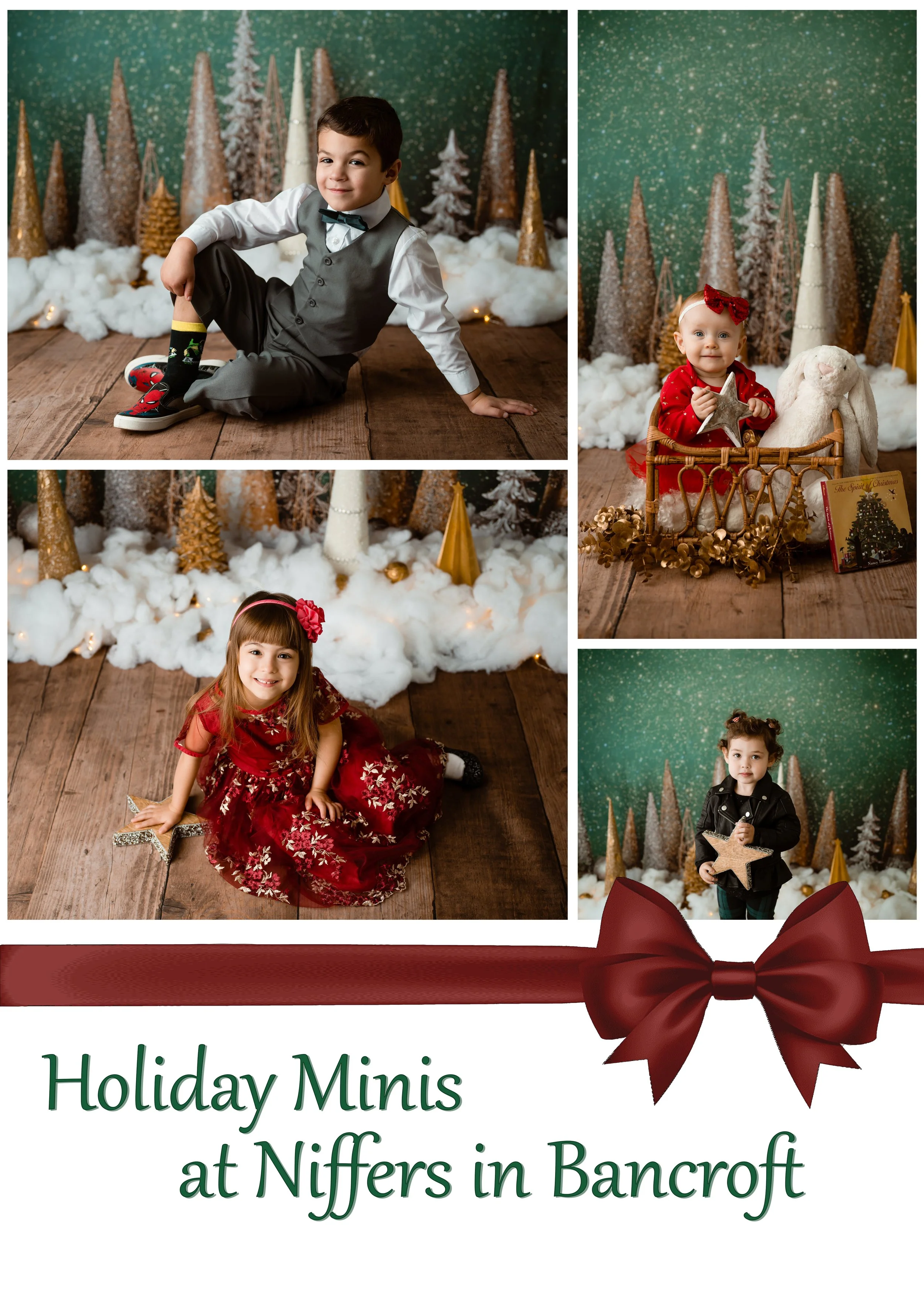 Minis at Niffers in Bancroft
