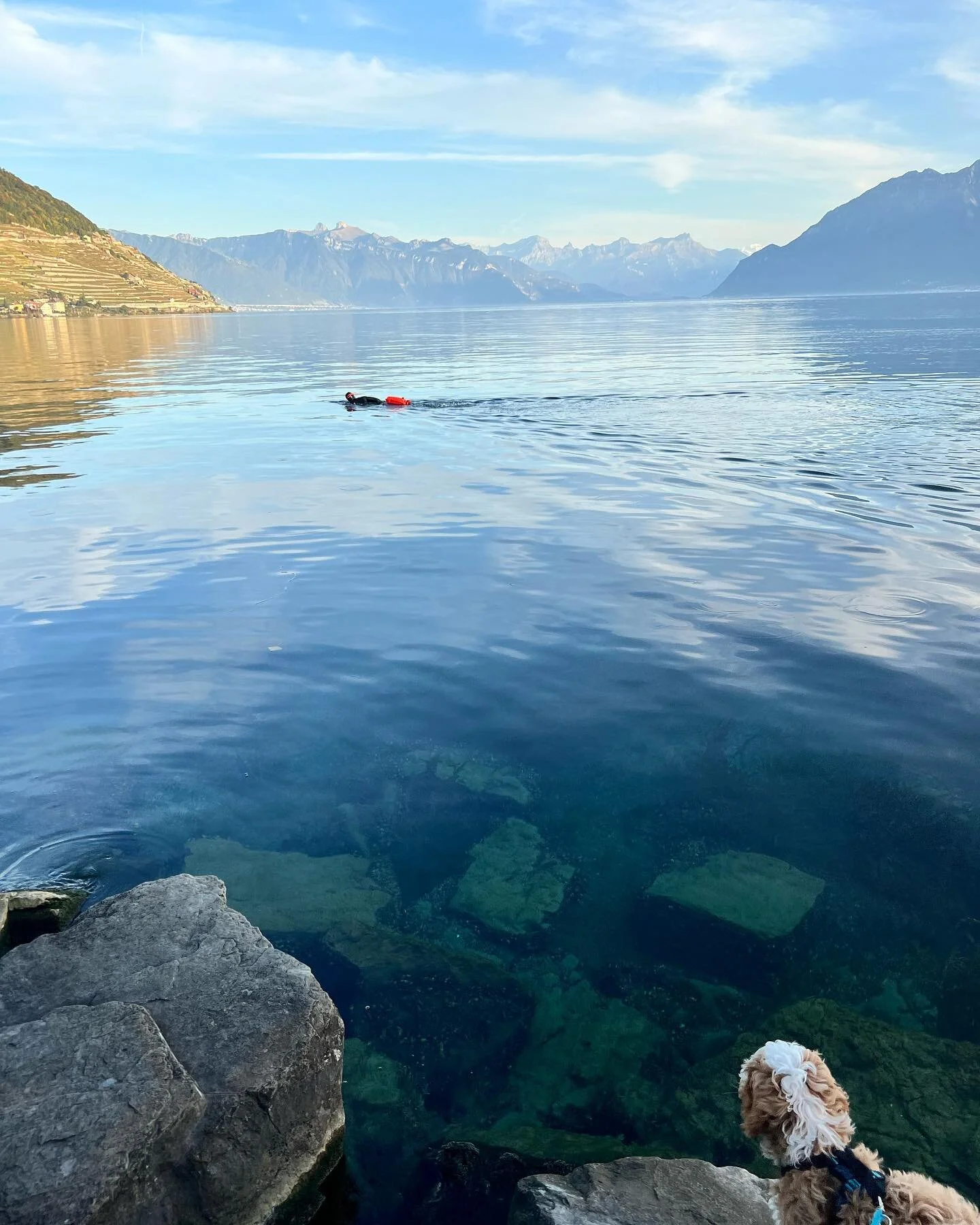 While the boys are away on field-trips this week I&rsquo;m loving the QT with @stephananderson88 and sweet Ginny. Just a thought&hellip;  but I think the kids should go away for a few days more often. 🫠😂