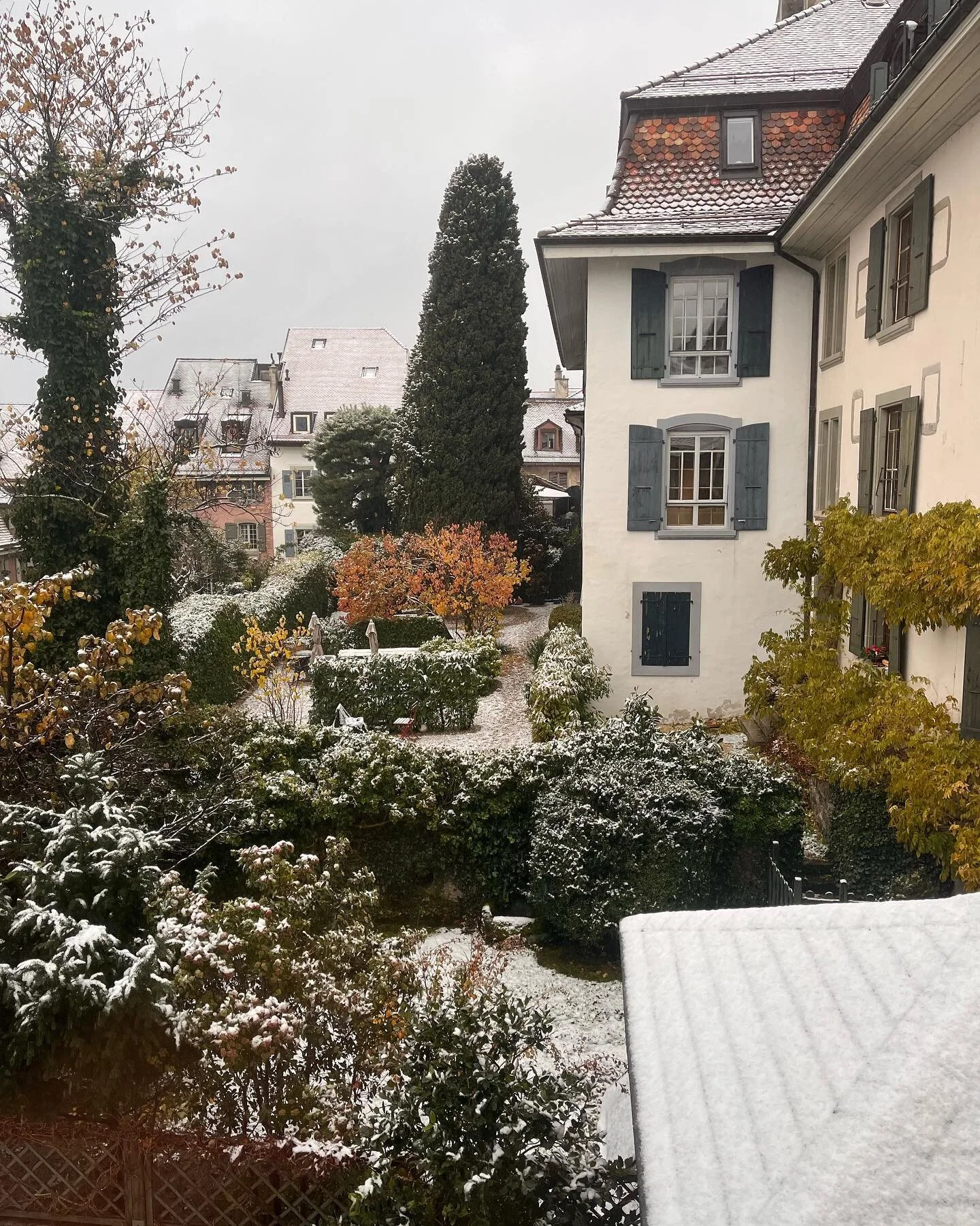 First snow of the season in our little village. I&rsquo;m in the jungle and missed it but luckily my boys (and Ginny!) got to experience the magic. Oh Cully, I love you so. ✨