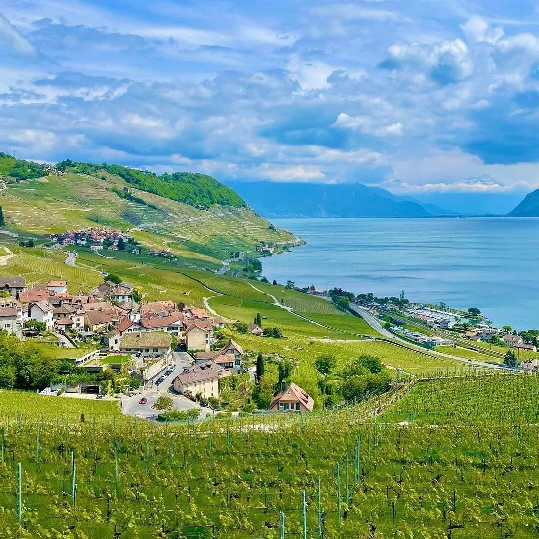 2022 has been one for the record books for me and my little family. We took a huge leap of faith, changed our lives completely, and as a result we&rsquo;ve never been happier! 

This year I pushed myself in ways I never thought possible, including ha