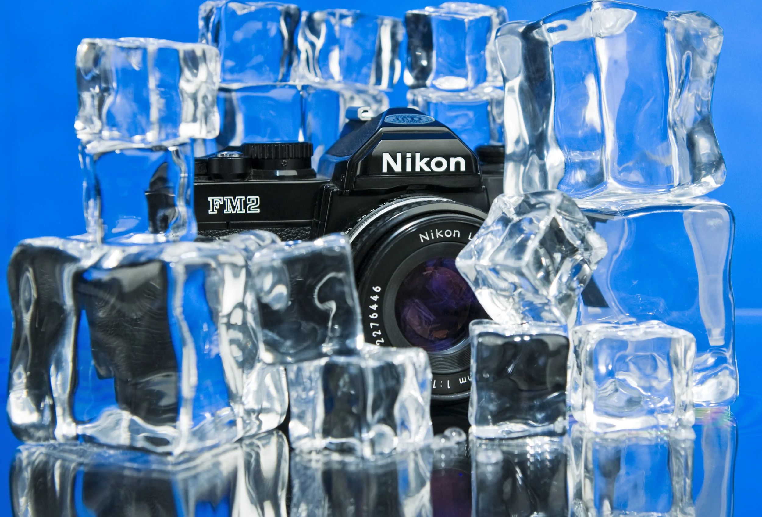 On Ice.jpg