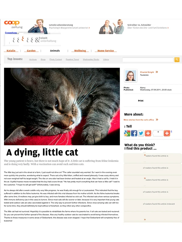 Cat Sweeden.jpg