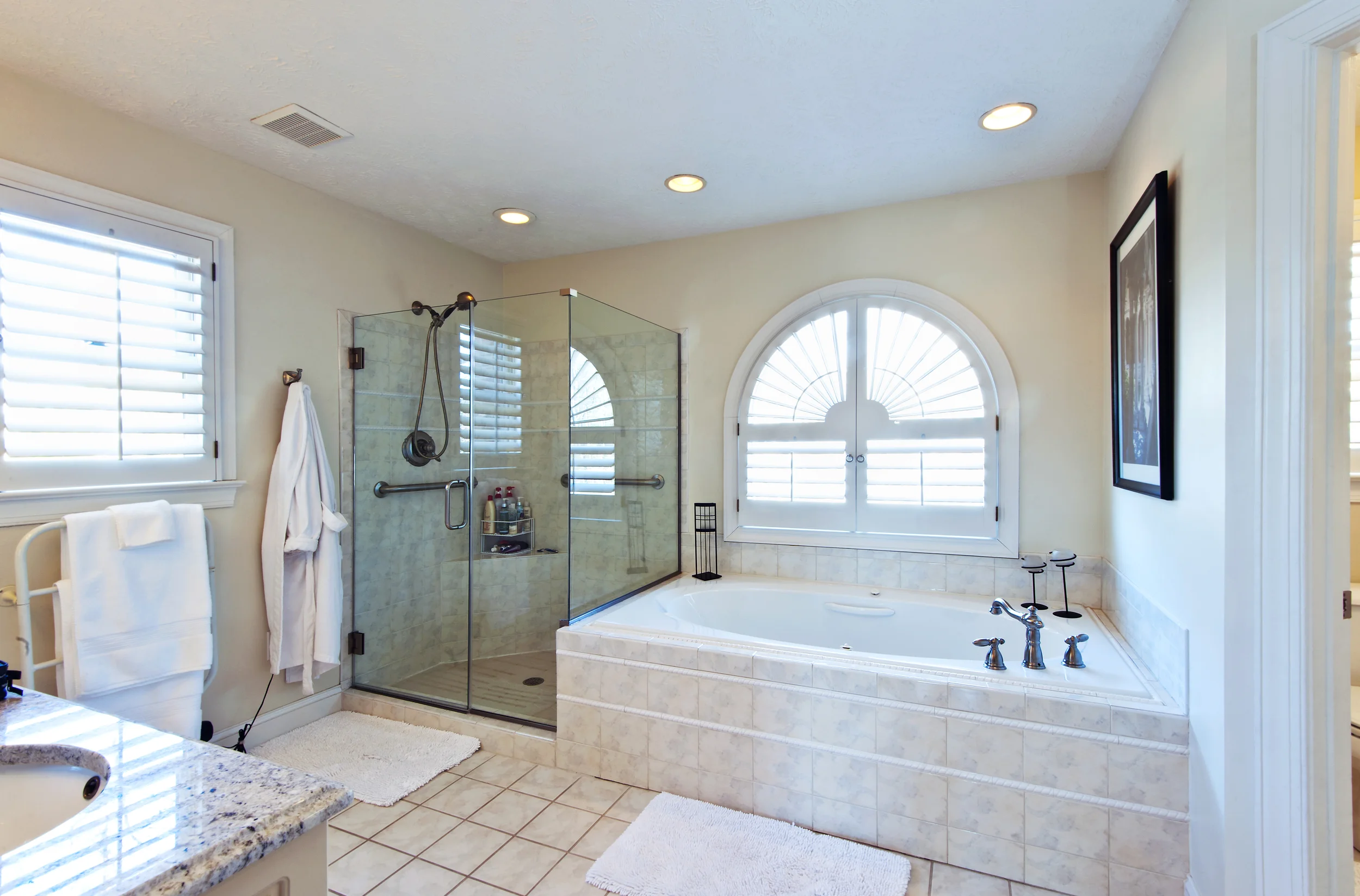 Master Bathroom Interior