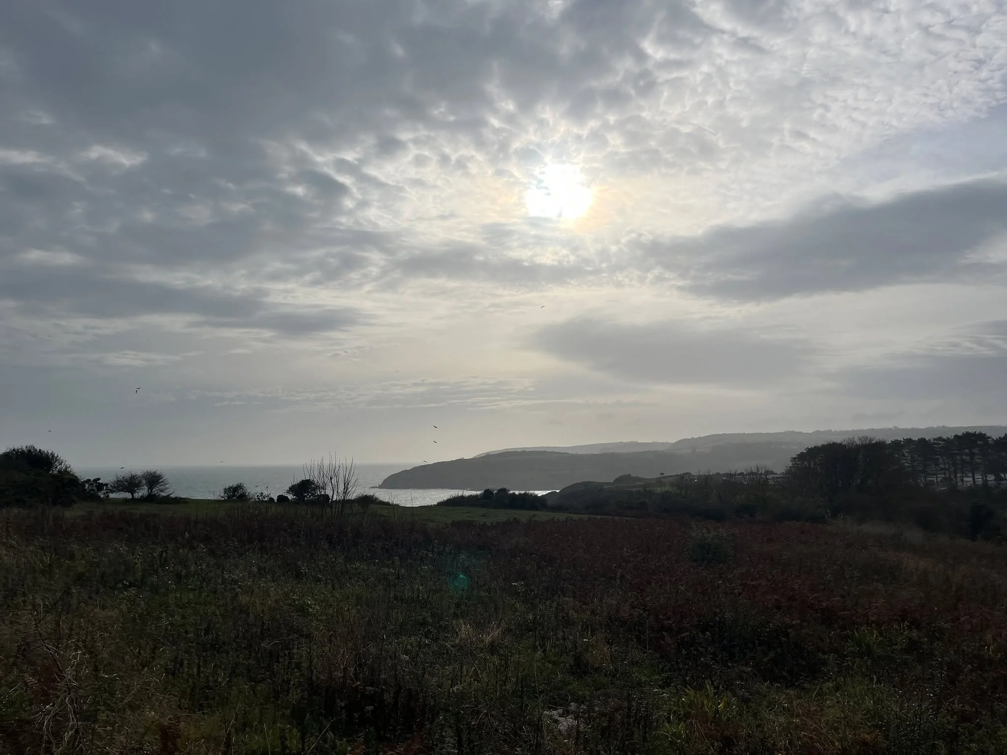 Last week I vanished for four days and wrote ten thousand words.
Thank you for the support  @rabble_theatre 💙💙💙