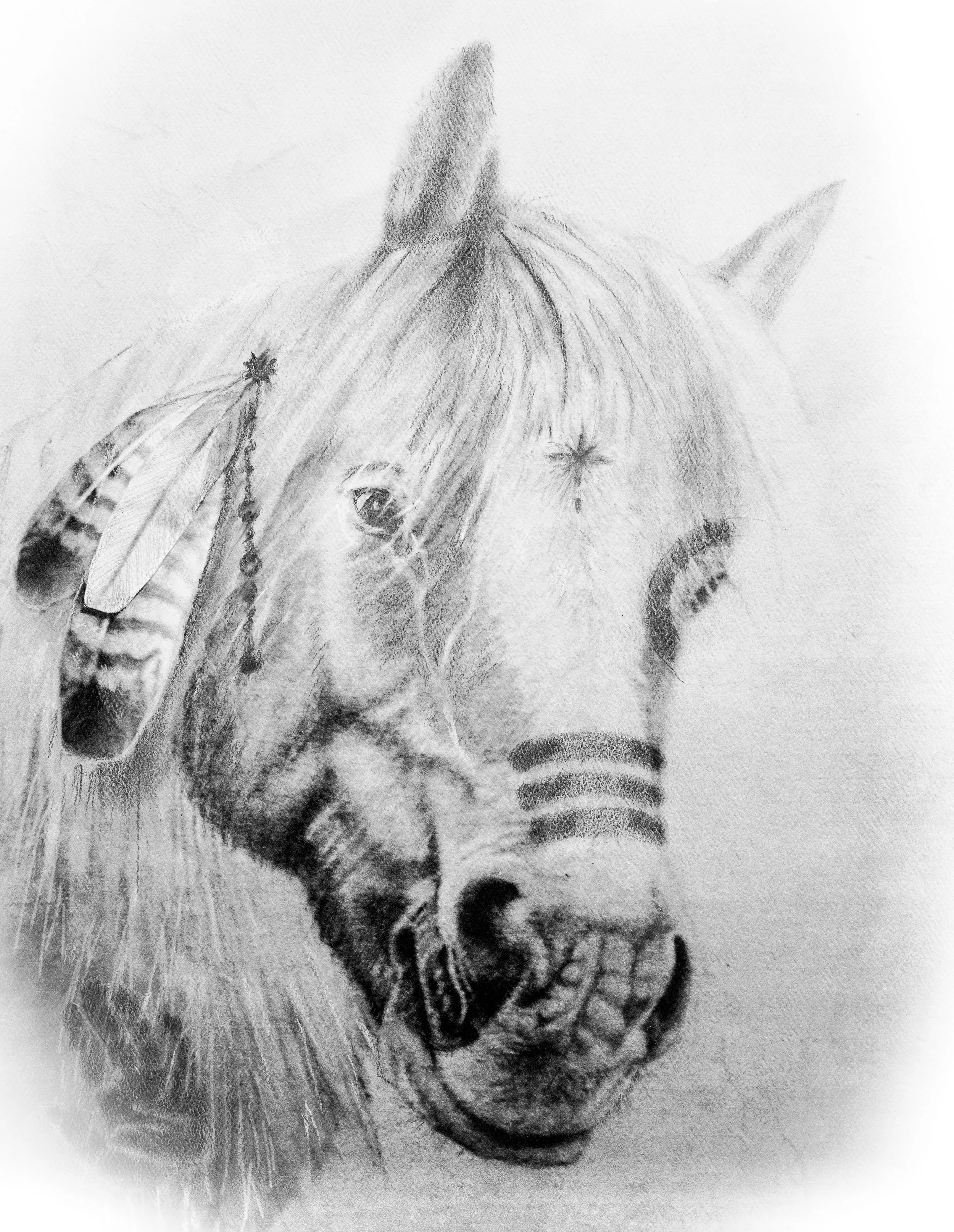 unnamed copy 10.jpg