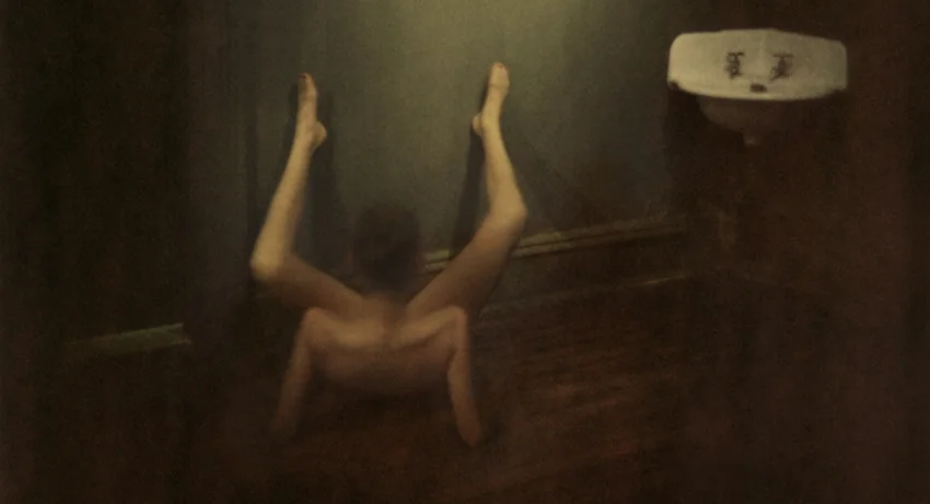 Spider Monkeys (photography)