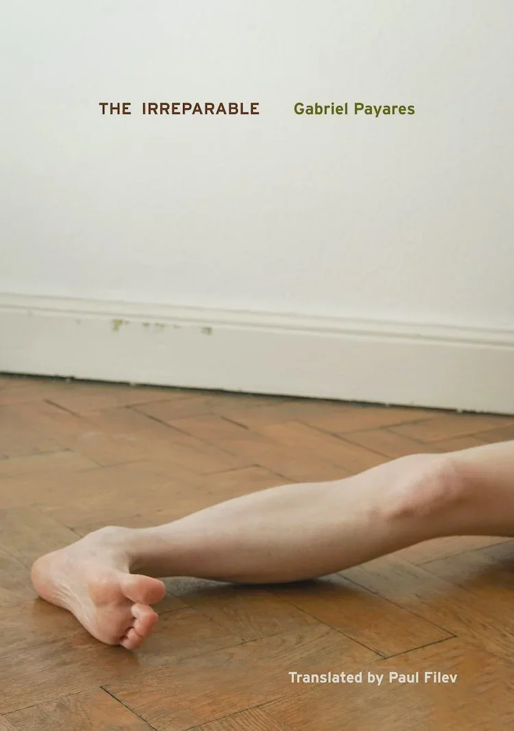 Irreparable_cover+2.webp