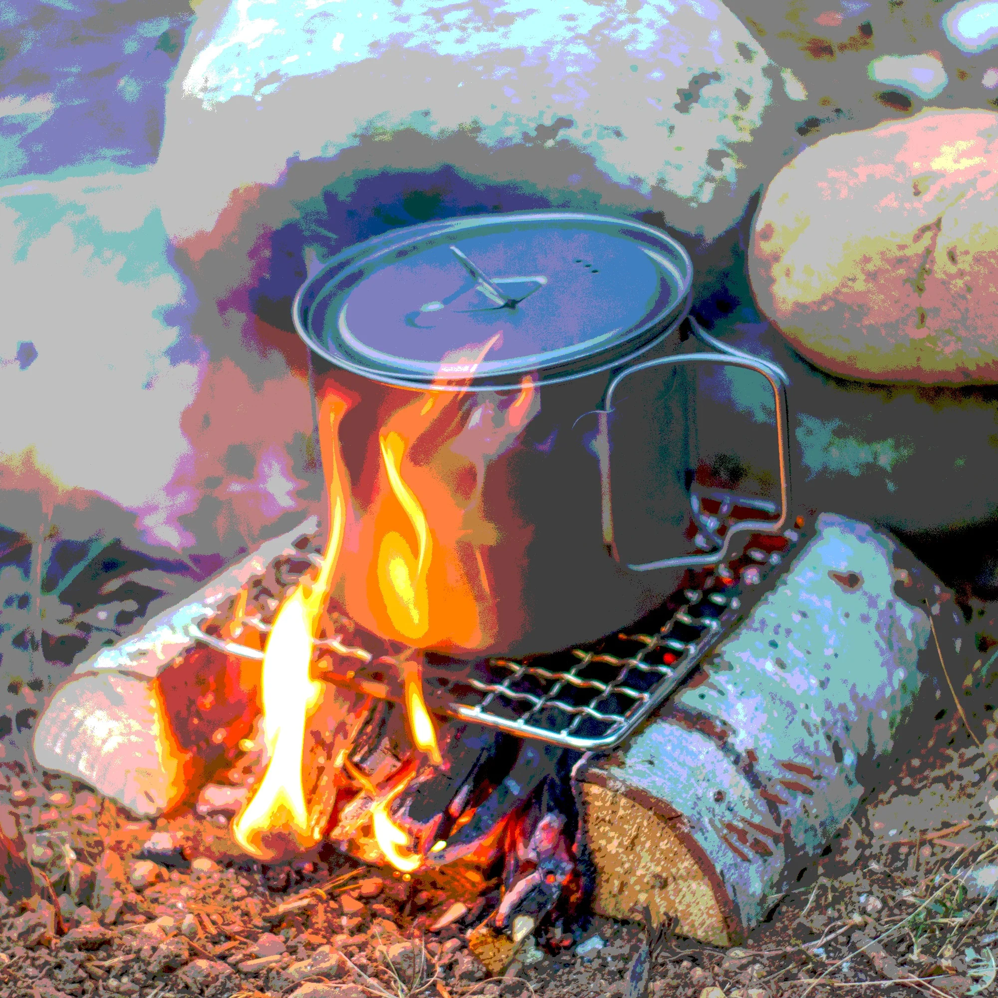 Grill+Mini.jpg