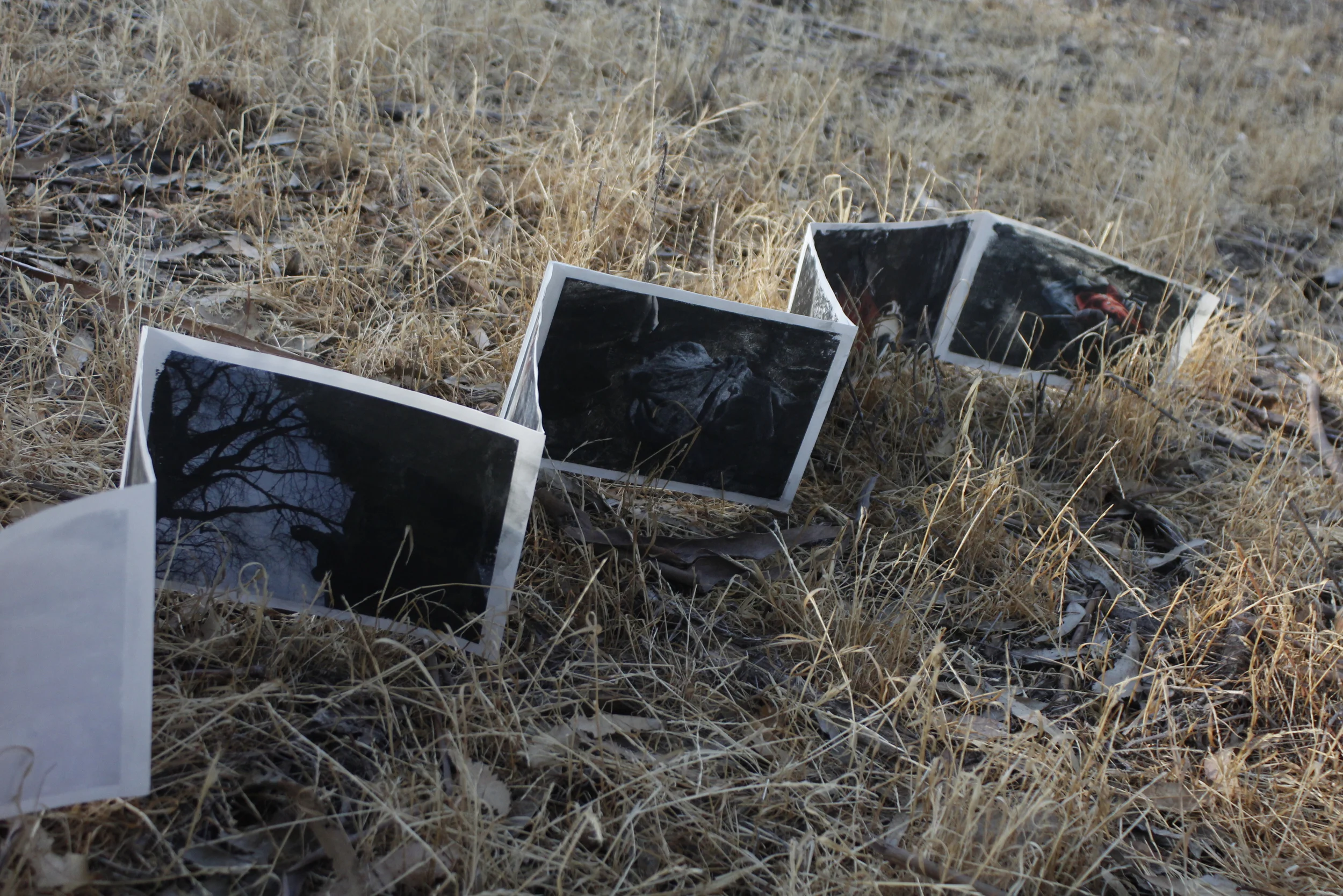 Red Riding Hood-Artist's Book 