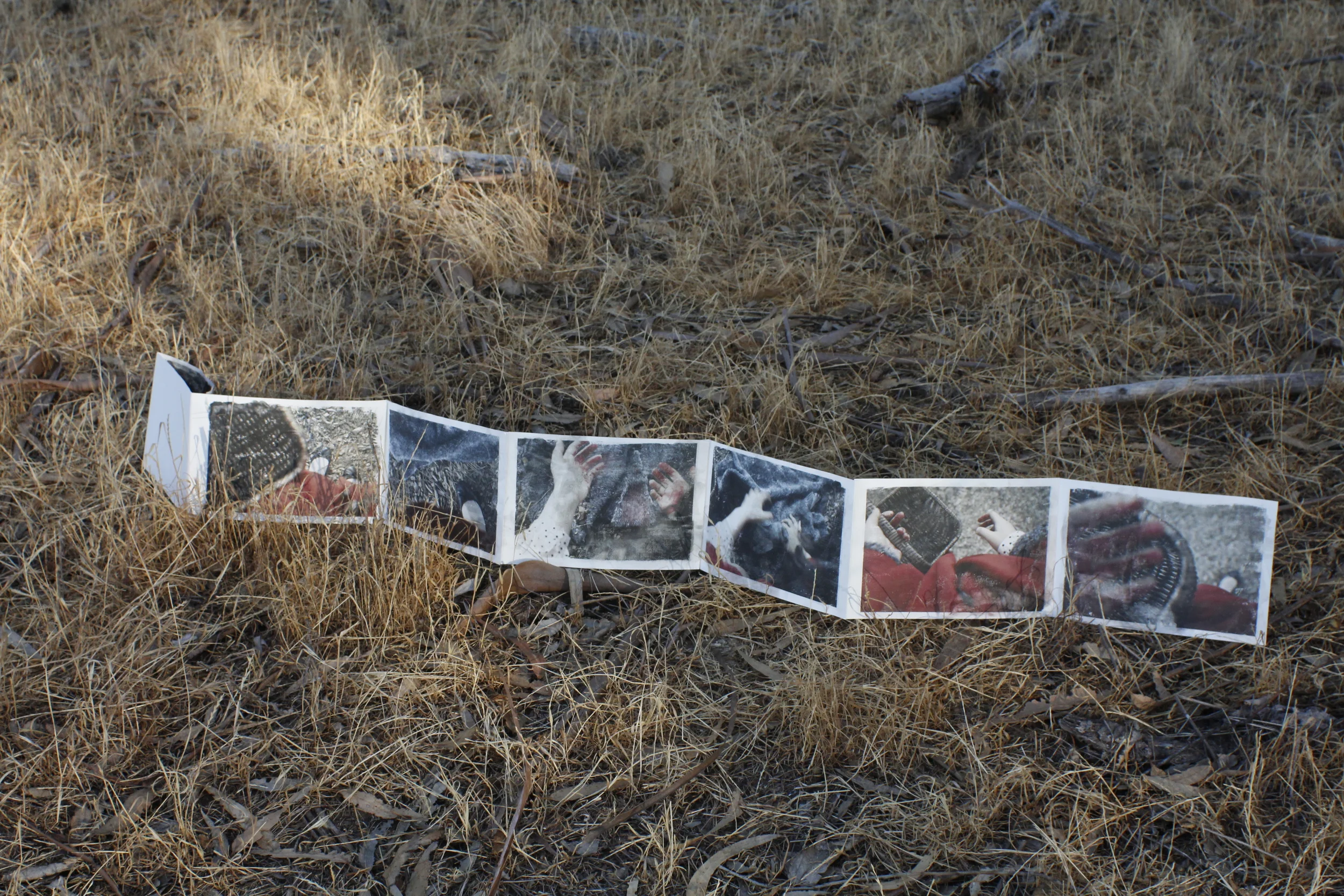 Red Riding Hood-Artist's Book 