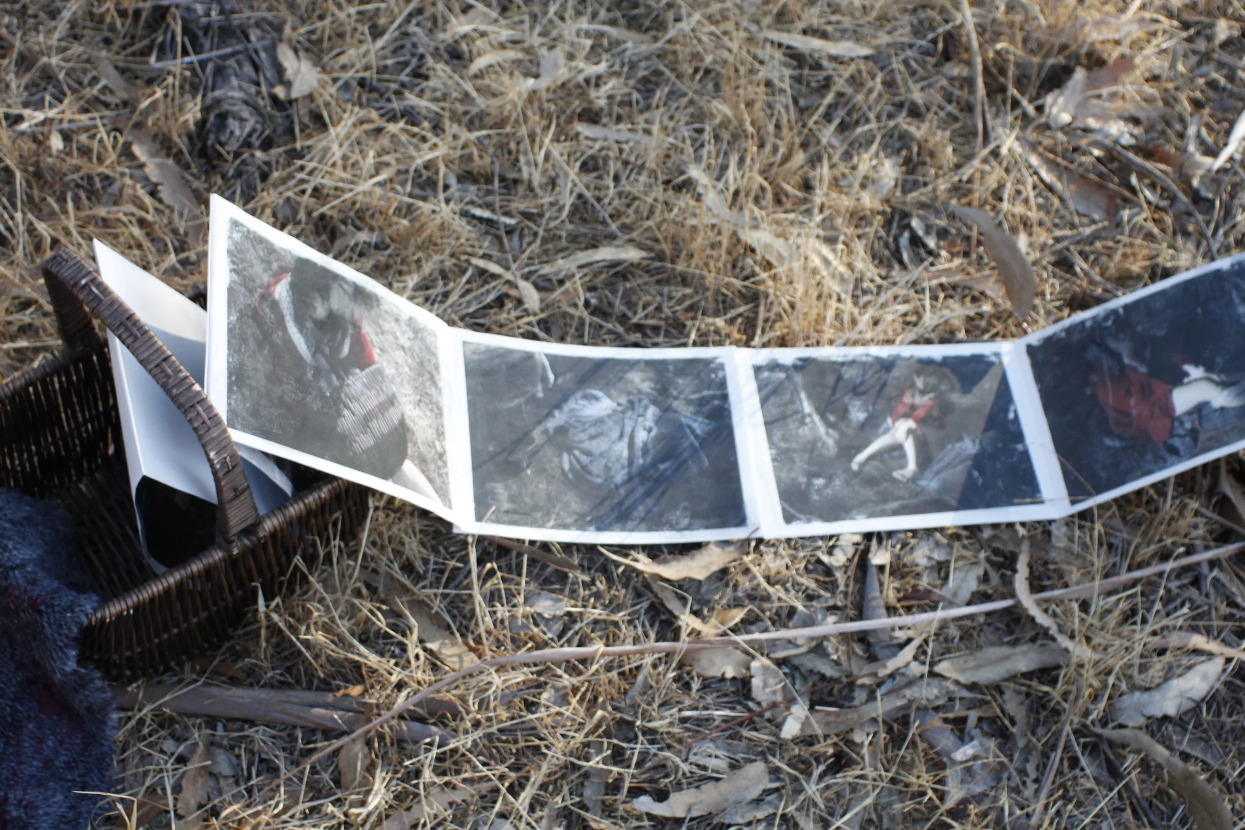 Red Riding Hood-Artist's Book 