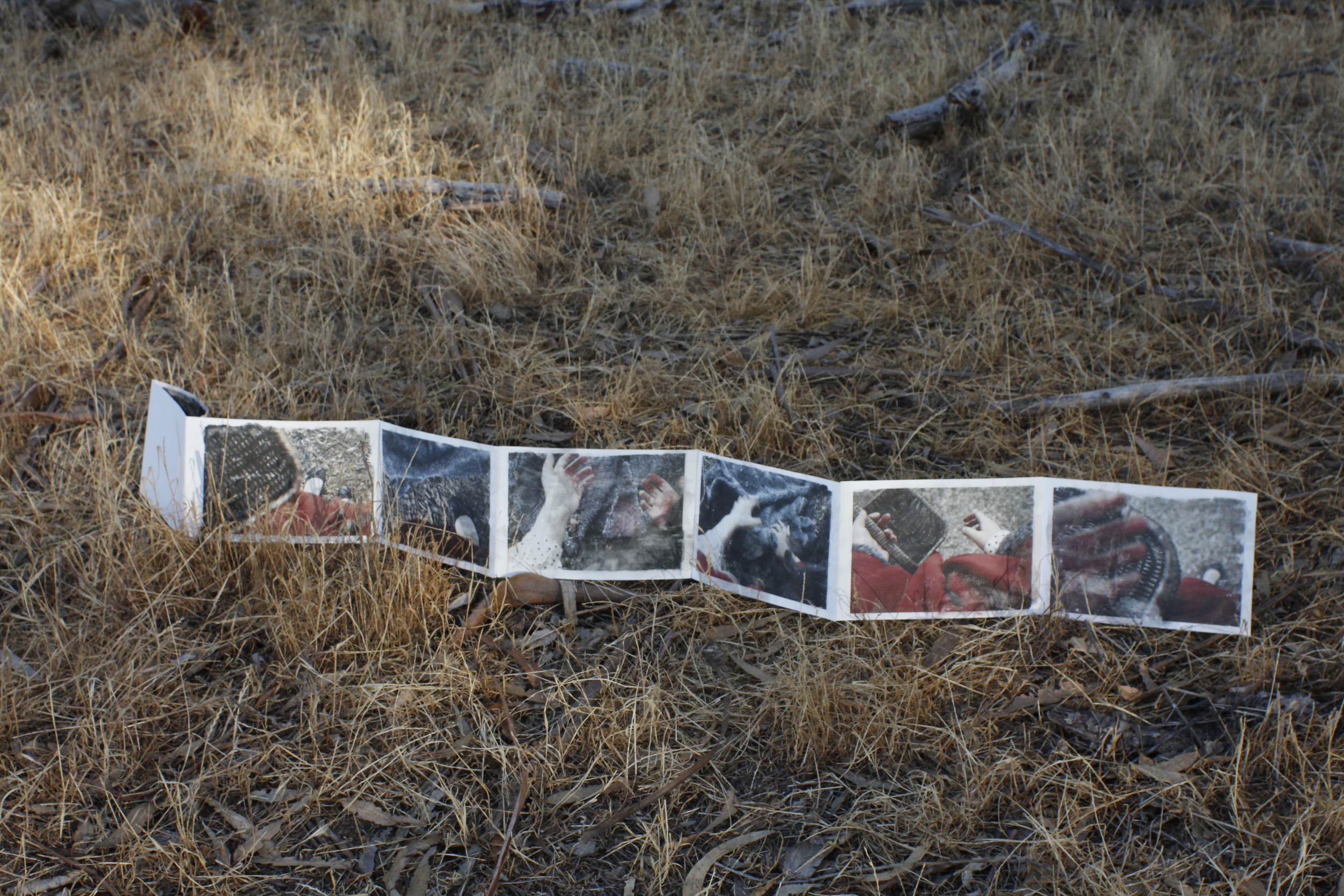 Red Riding Hood-Artist's Book 