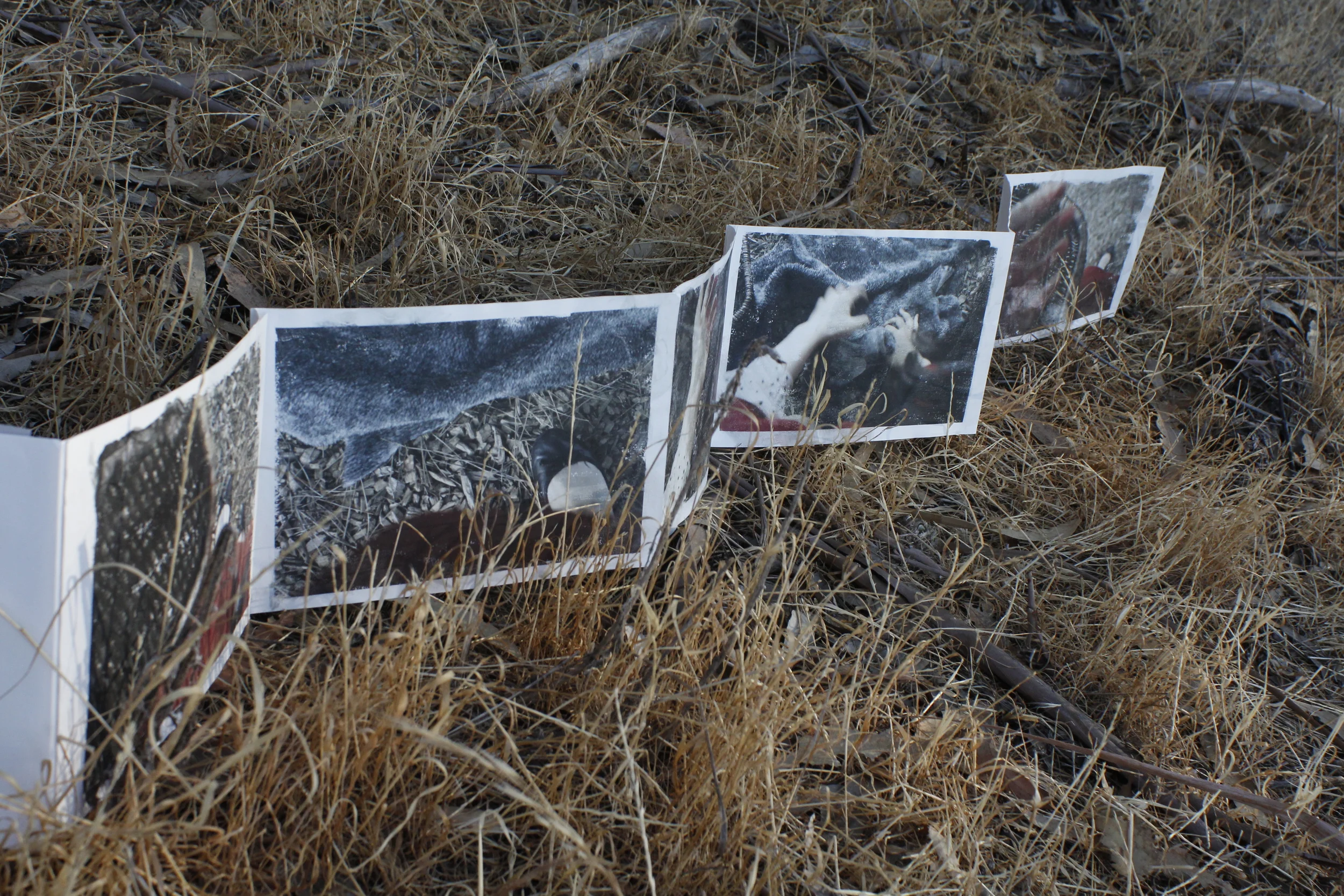 Red Riding Hood-Artist's Book 