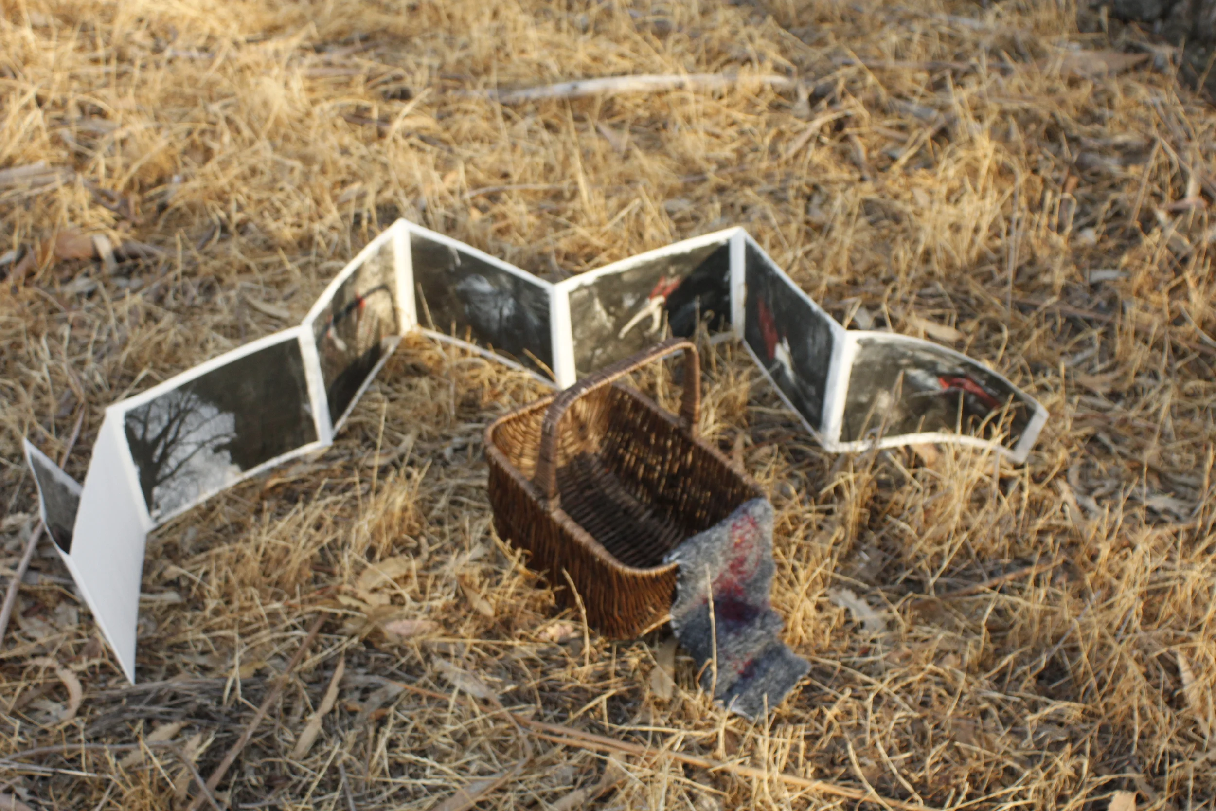 Red Riding Hood-Artist's Book 