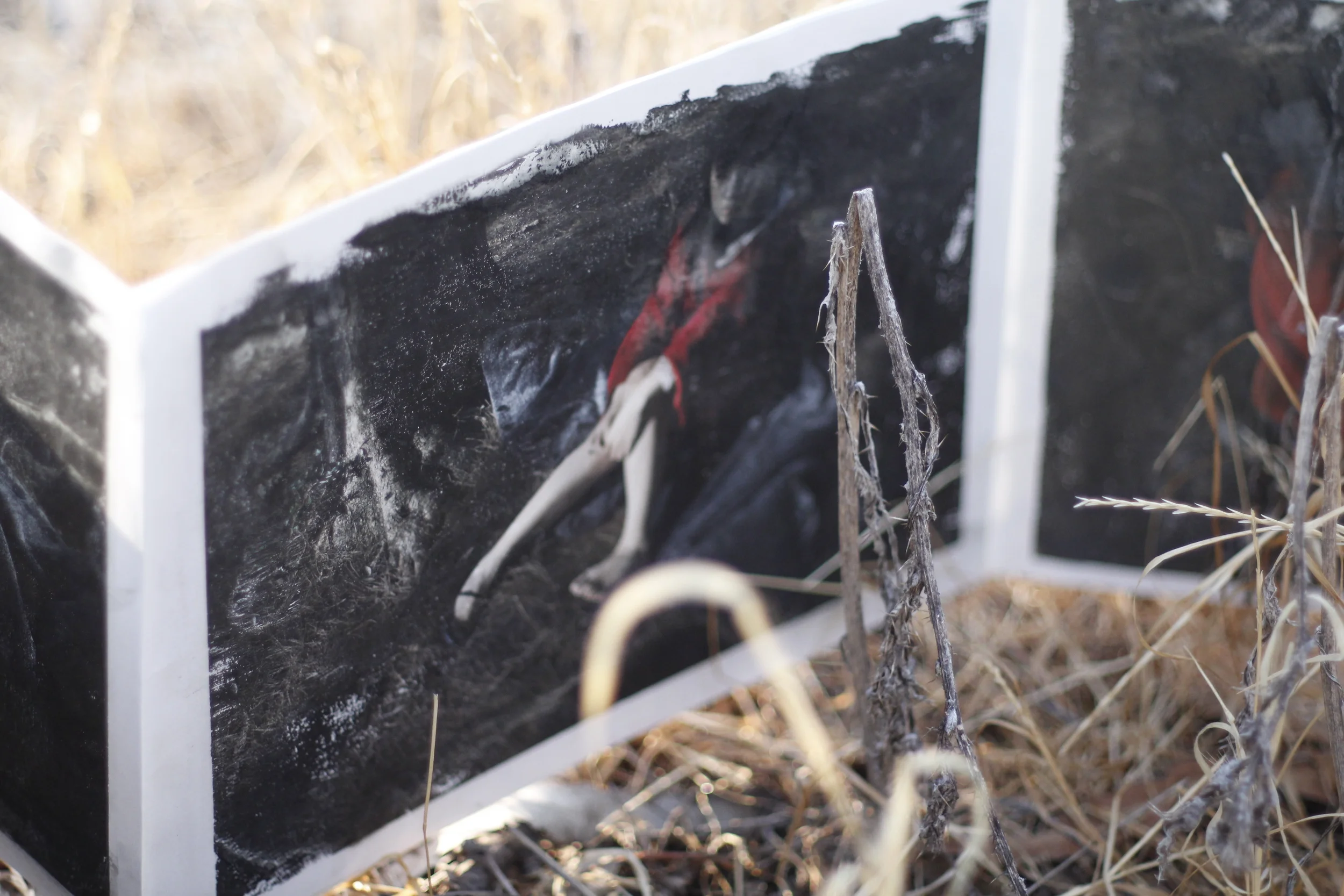 Red Riding Hood-Artist's Book 