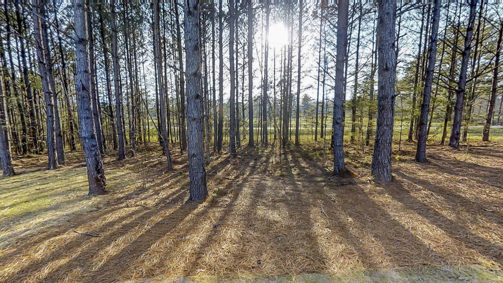 untitled-47.jpg
