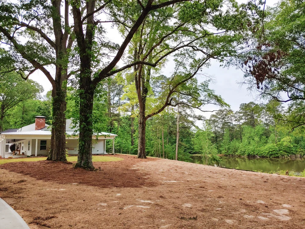 0425191336c_HDR.jpg