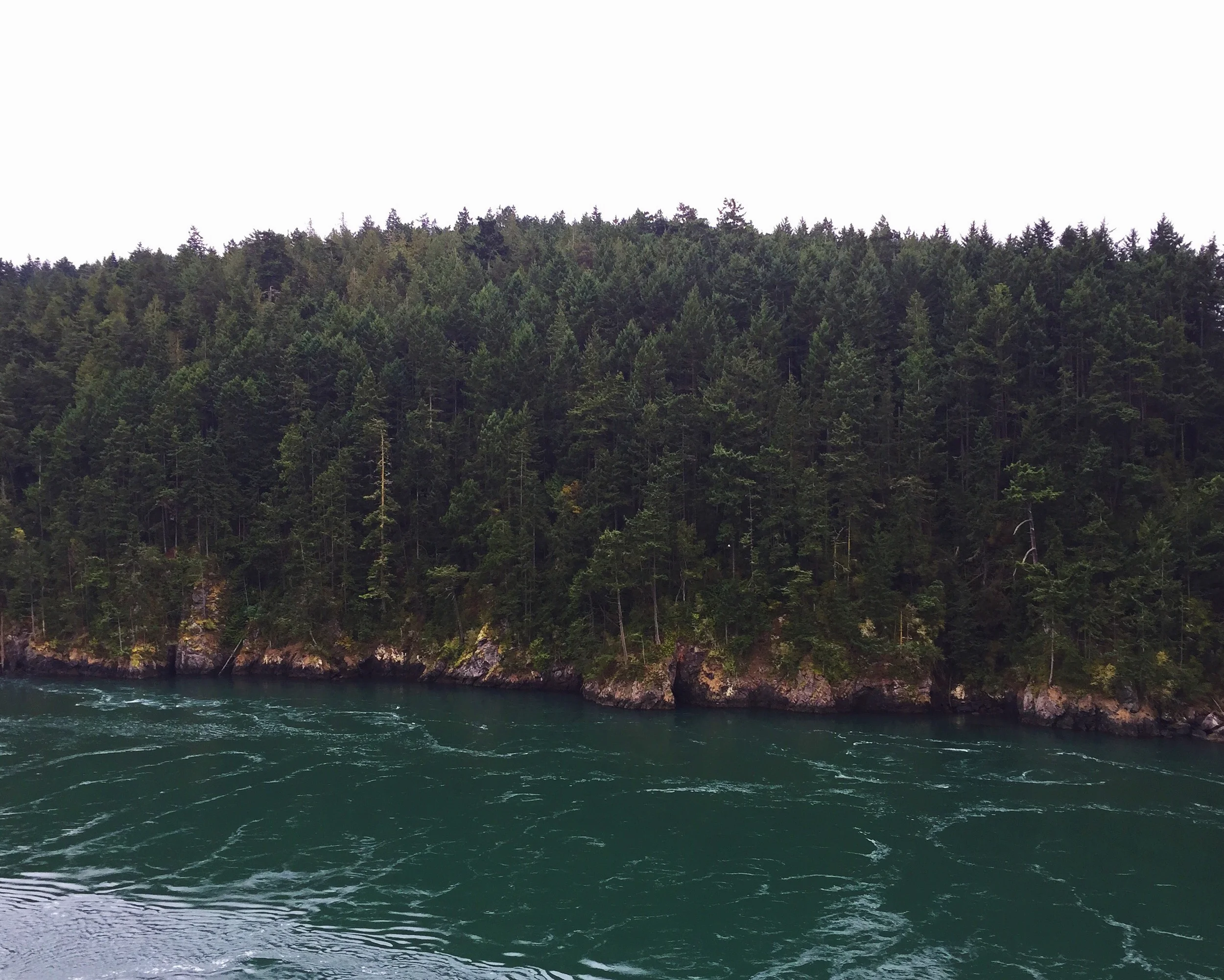 image-9.jpg