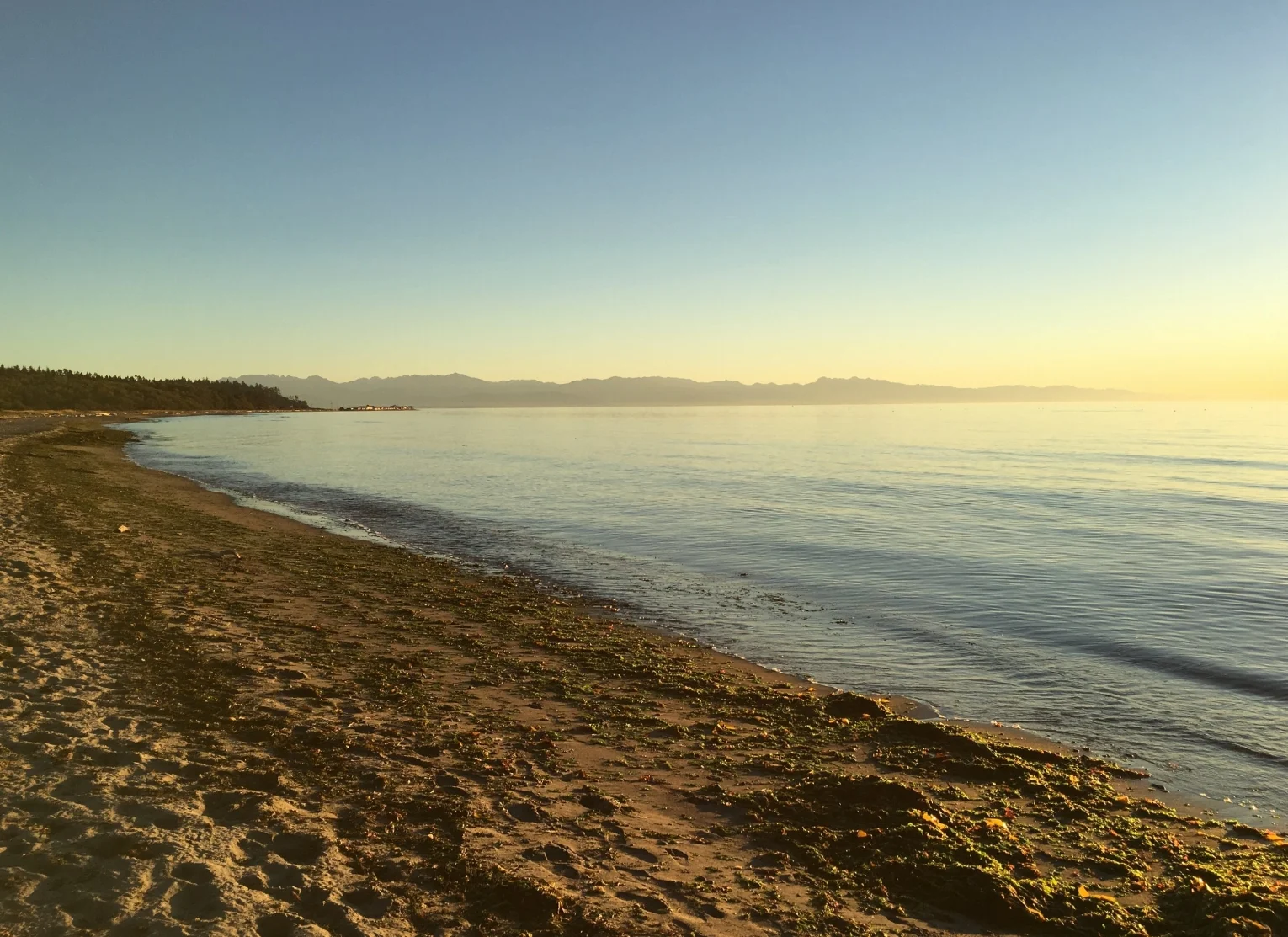 Palm Sunday 2018 - Luke 19