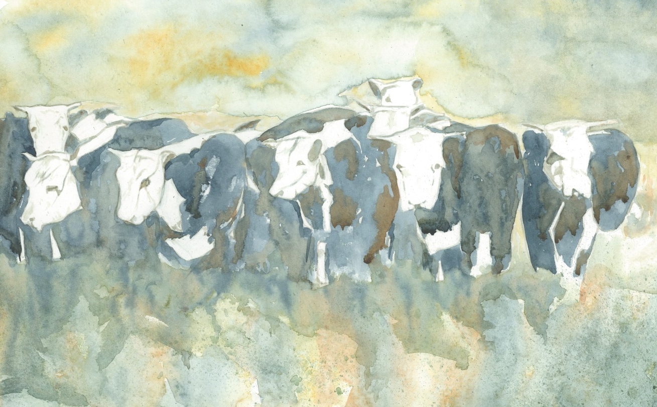 Kleinshmidt Cattle