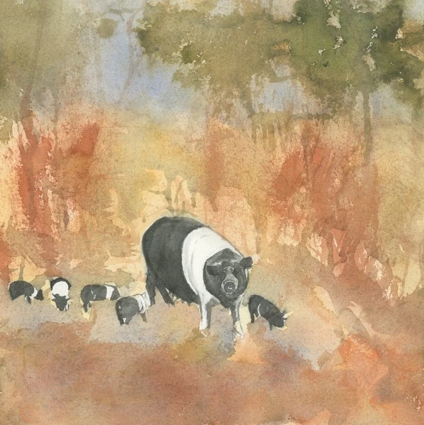 Sow with Litter