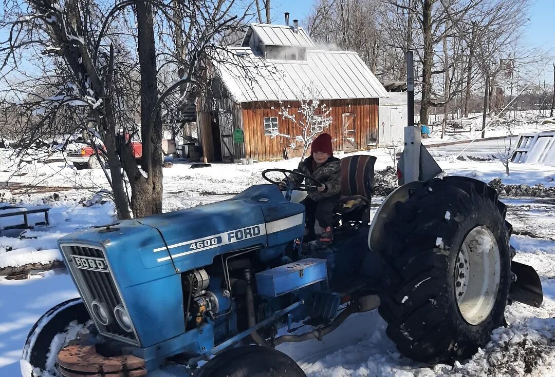 Snippets of the season thus far, sixteen days in: snow, steam, sap, smoke, syrup, splitting and stacking wood, schlepping buckets through the mud and snow, sipping coffee brewed with sap, stoking the fire, soaking it all up, sunrise to sunset. 
.
(1s