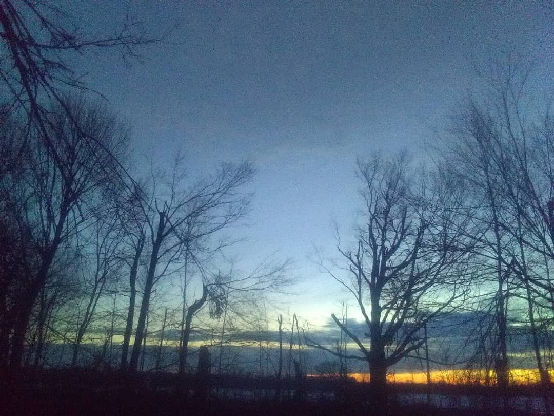 March 29th Newsletter link in bio. This photo is in there, but I forgot the caption, so I'll put it here: the Maple trees behind the Sugar House. You can see the gaping hole in the tree line and broken tops where the wind tunnel came through last fal