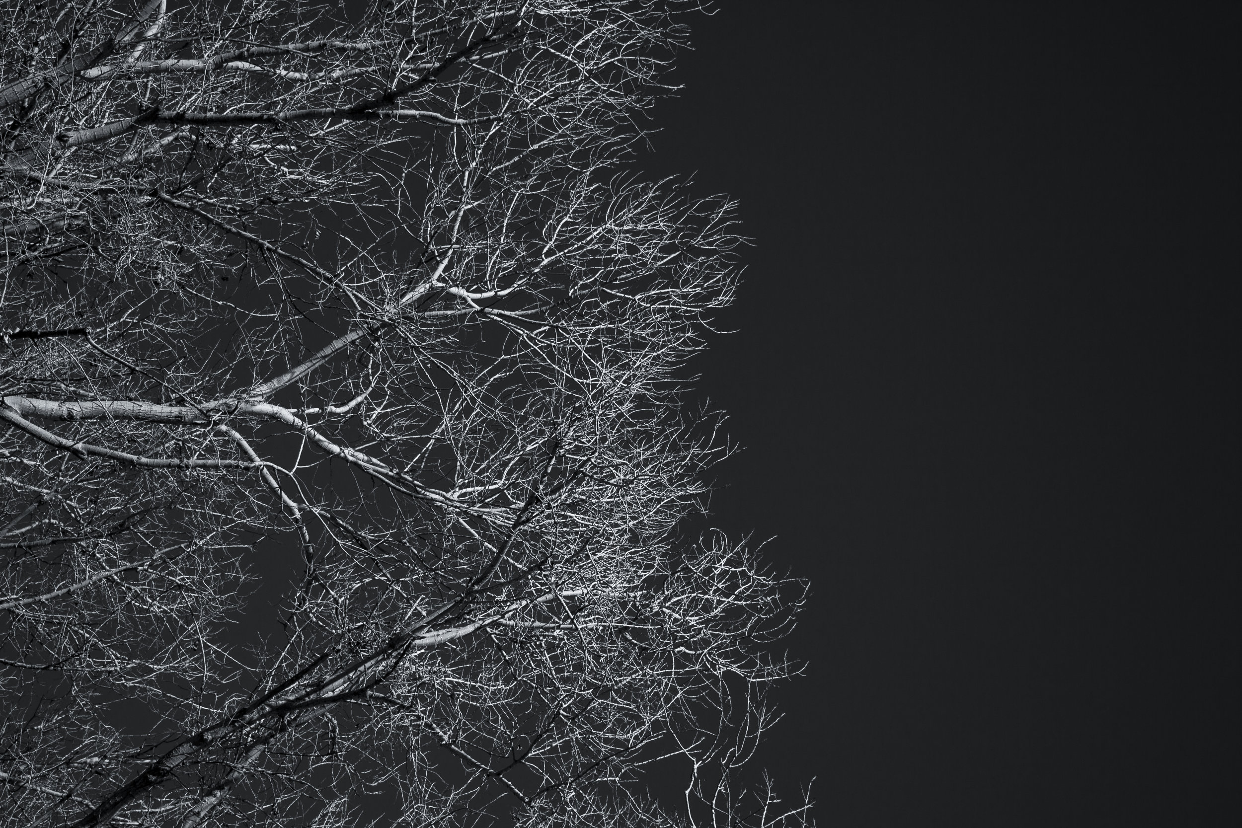 The Death of Winter