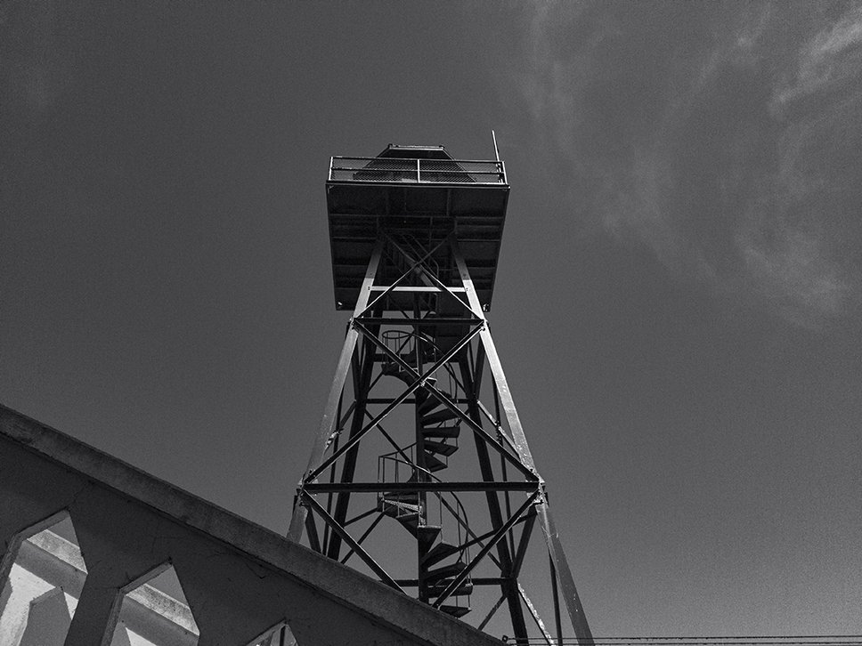 20240827_130404 BW.jpg