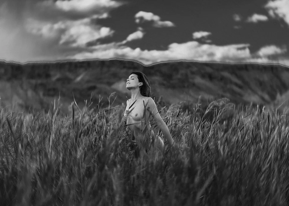 0A4A7325, BW2 (Blur) Crop 3.jpg