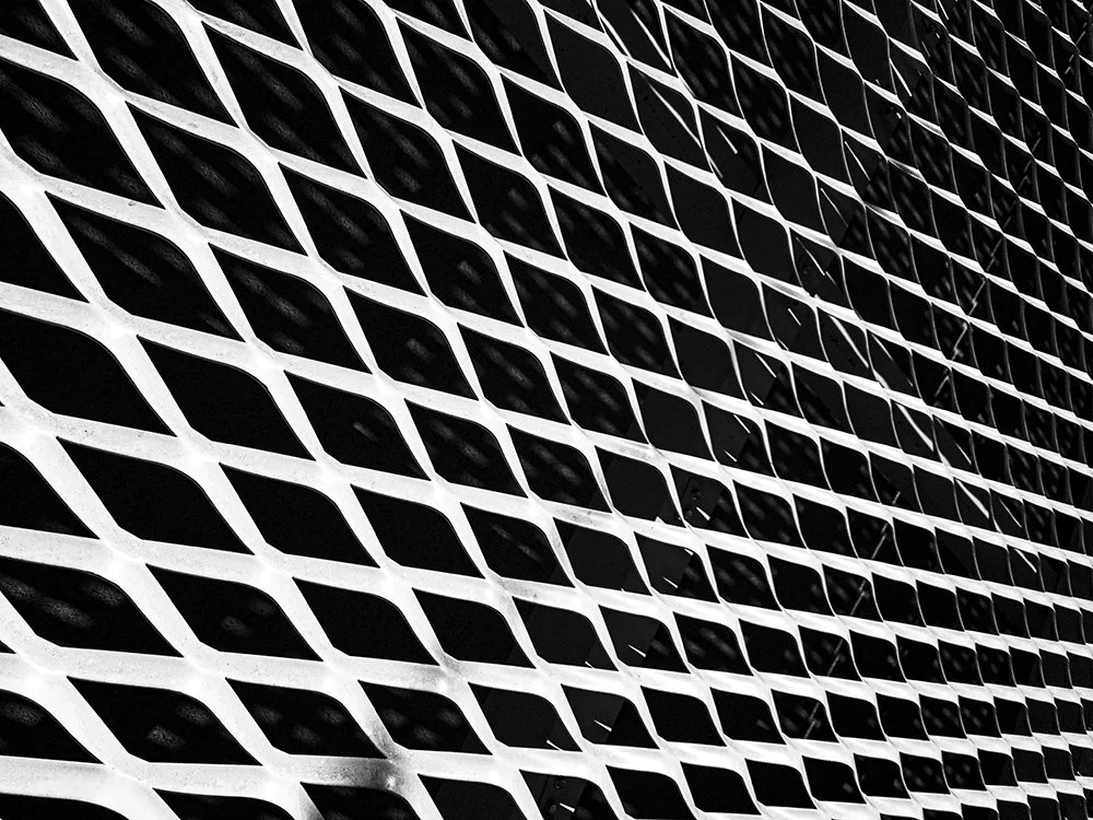 20230905_122118, BW1.jpg