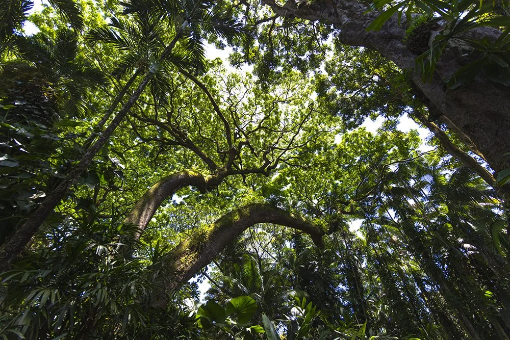 0A4A5817, v2.jpg