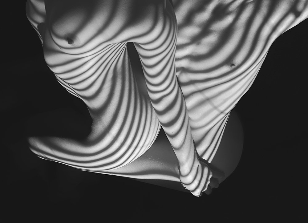 0A4A5569, BW4 Crop 1.jpg
