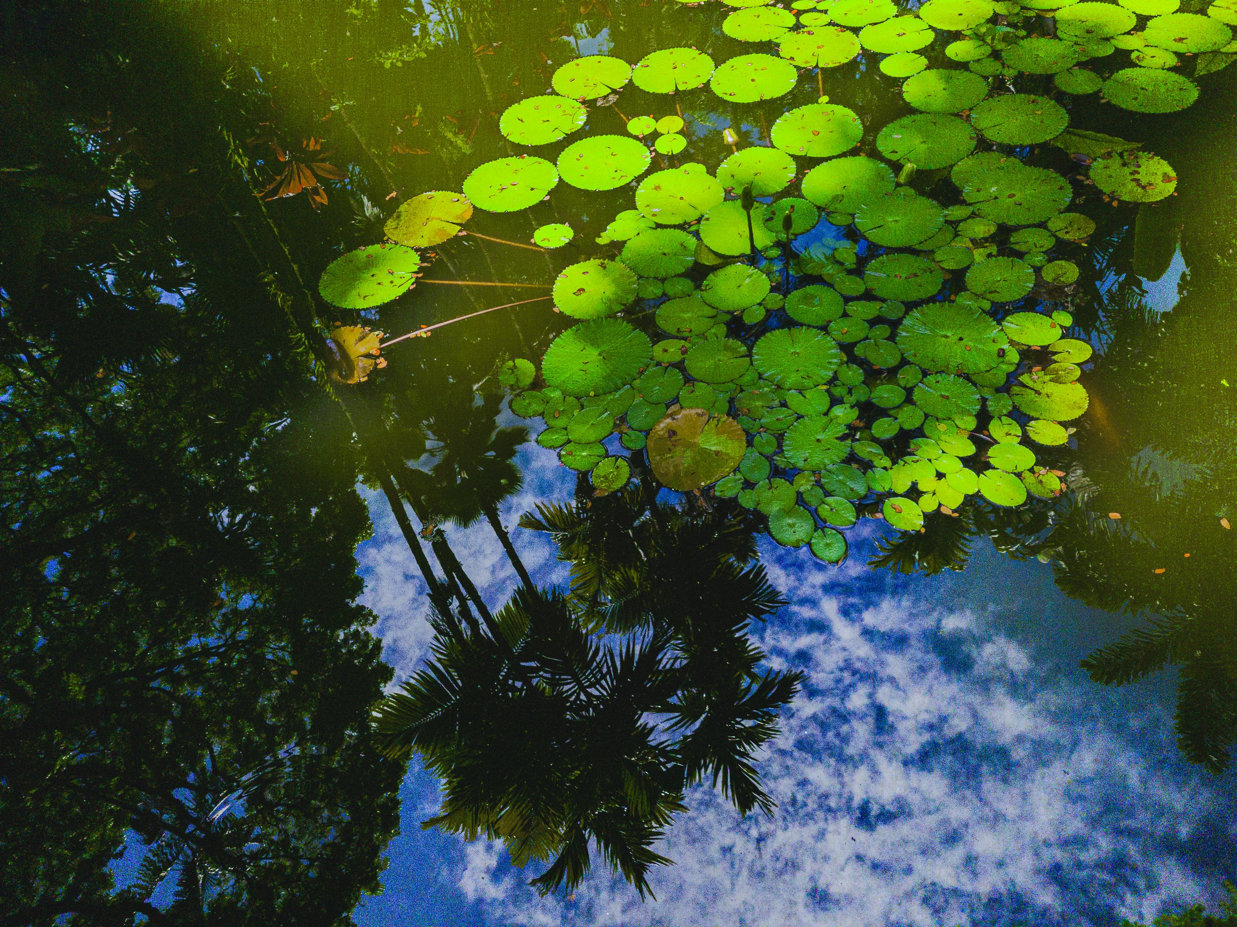 20230705_133749, v4.jpg