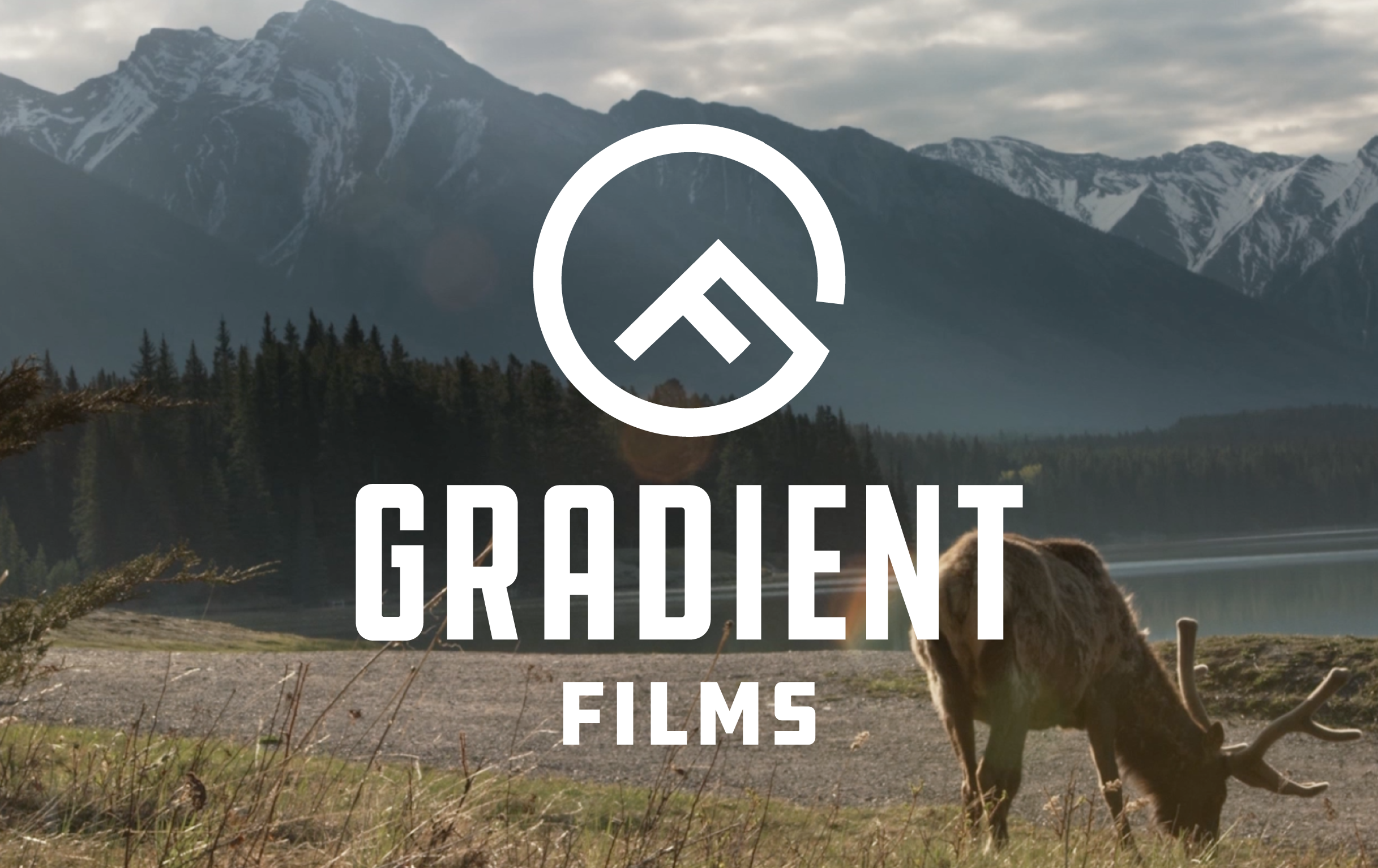 GradientFilms_1.png
