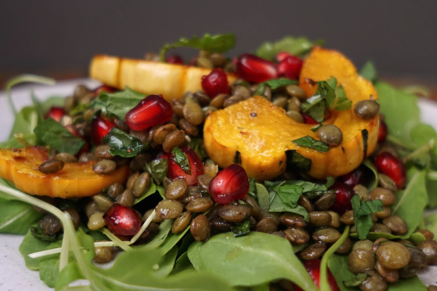 Spiced Delicata Squash, Lentil &amp; Pomegranate Salad