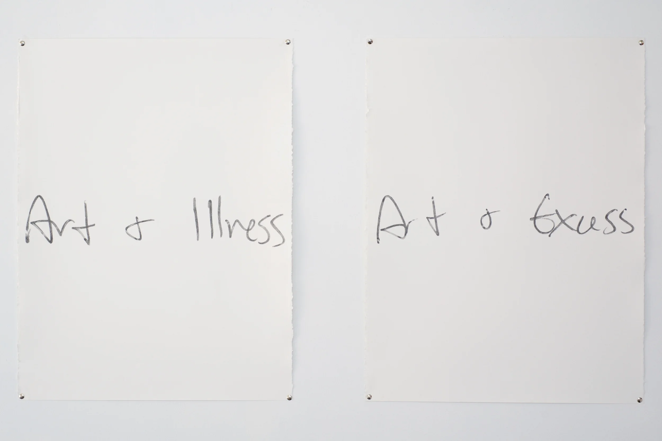   Art+Illness ,  Art+Excess , graphite on paper, 30 x 22", 2014 