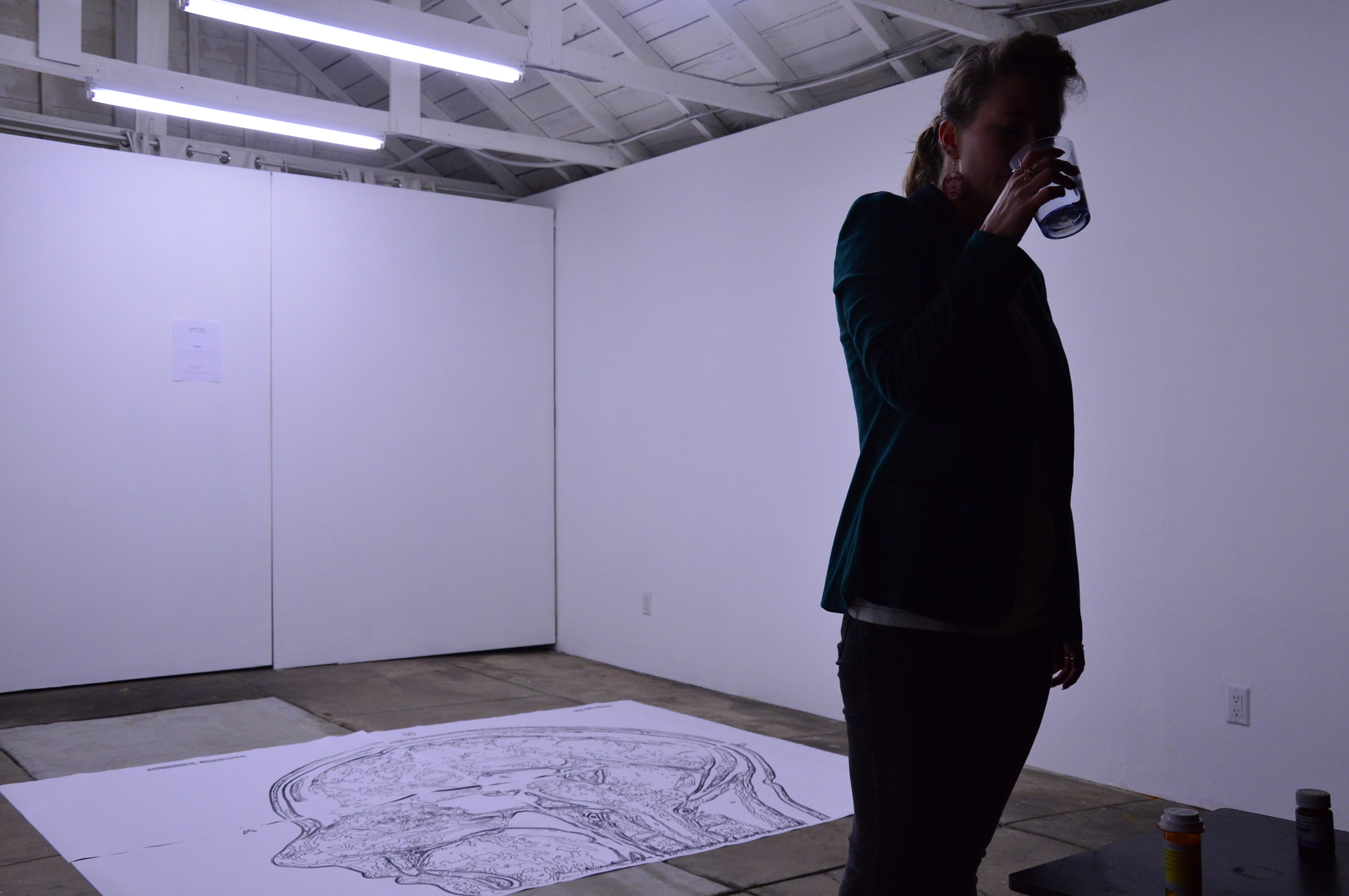 Twelfth Cycle performance, Friday March 11th, 2016, The Situation Room