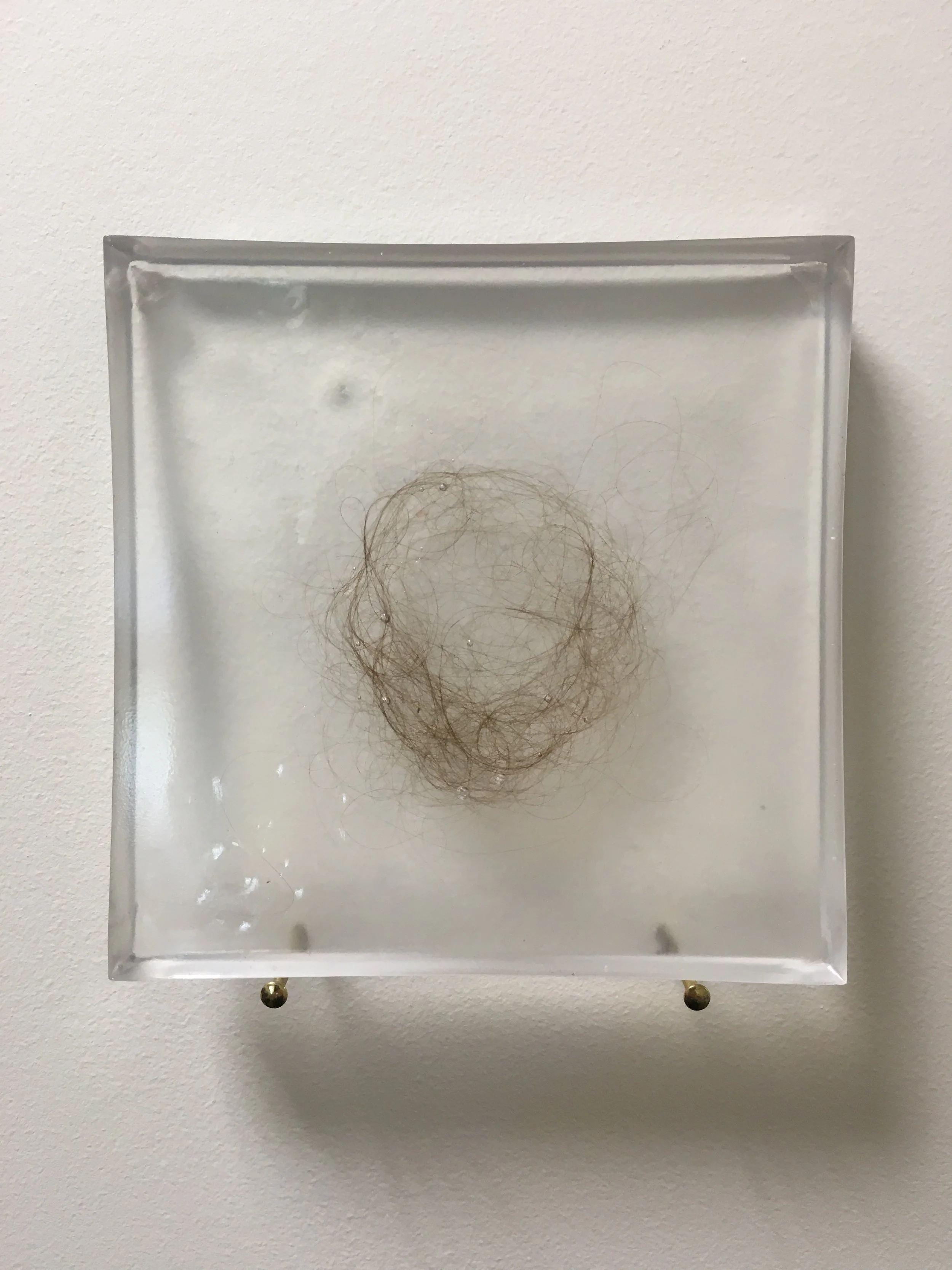   Brushstrokes (after Hannah Wilke) [Fossilized] , Clear polyester resin, artist’s hair, 6 x 6” each (total of five), 2017 (detail) 