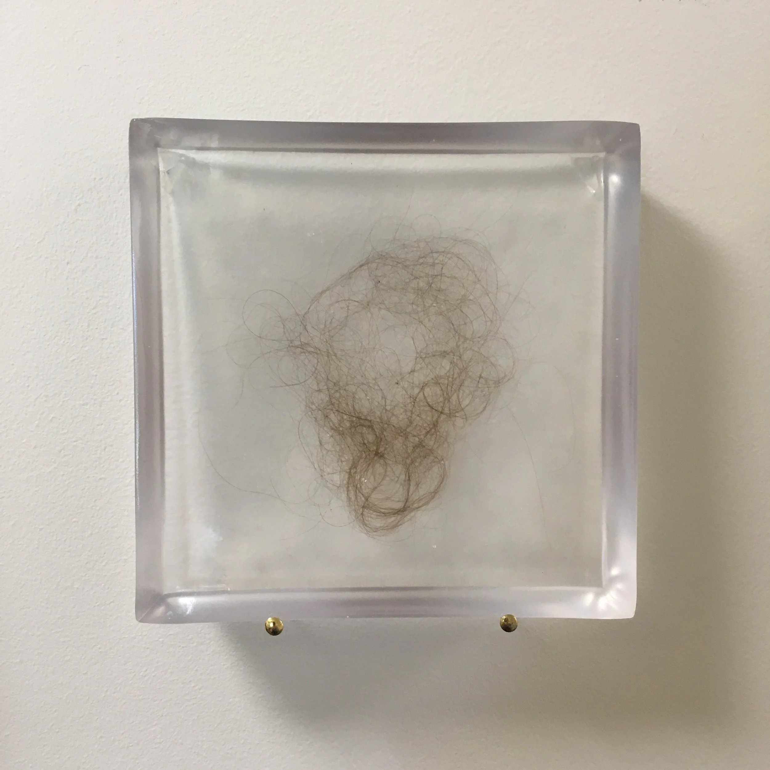   Brushstrokes (after Hannah Wilke) [Fossilized] , Clear polyester resin, artist’s hair, 6 x 6” each (total of five), 2017 (detail) 