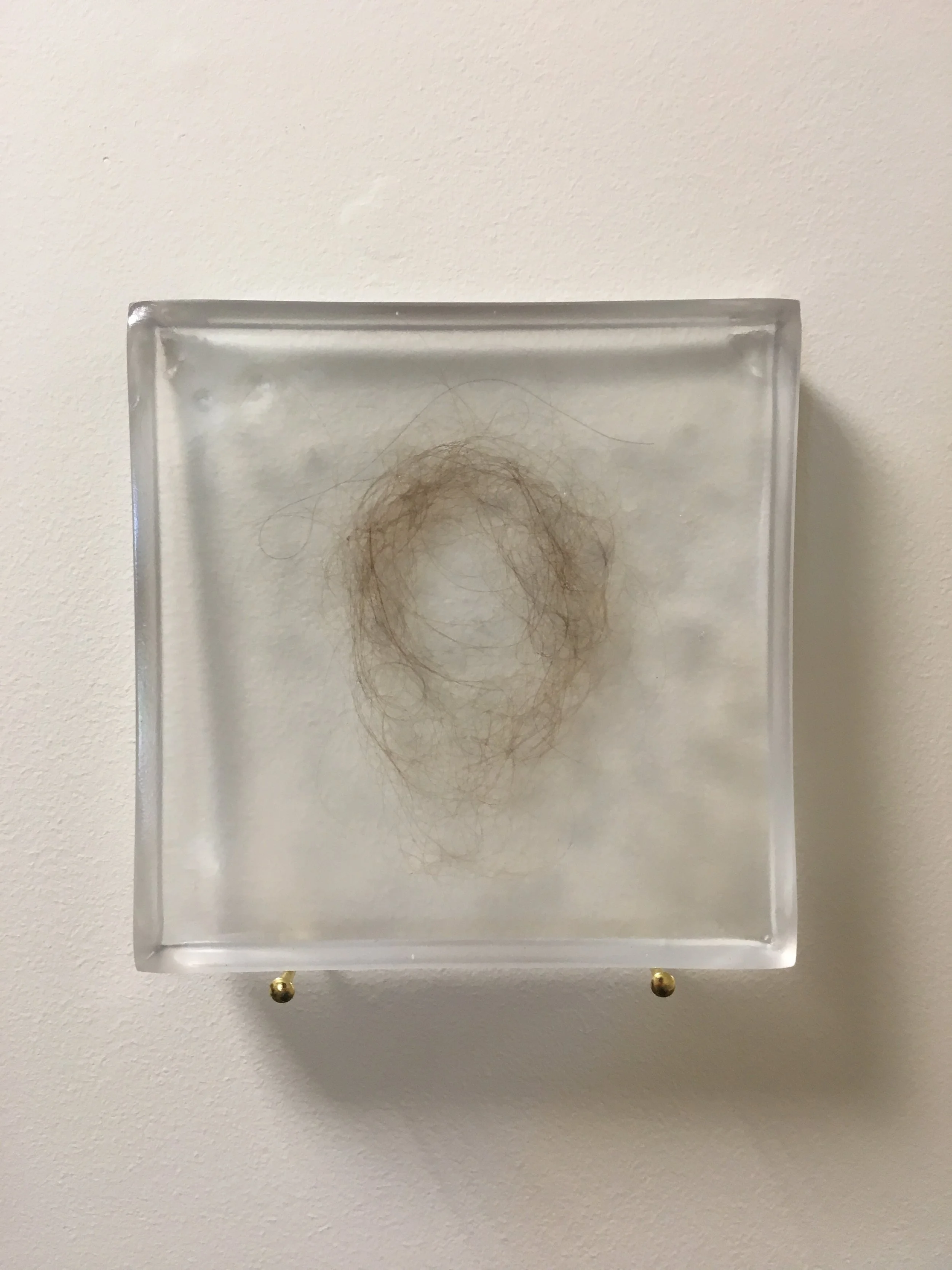   Brushstrokes (after Hannah Wilke) [Fossilized] , Clear polyester resin, artist’s hair, 6 x 6” each (total of five), 2017 (detail) 