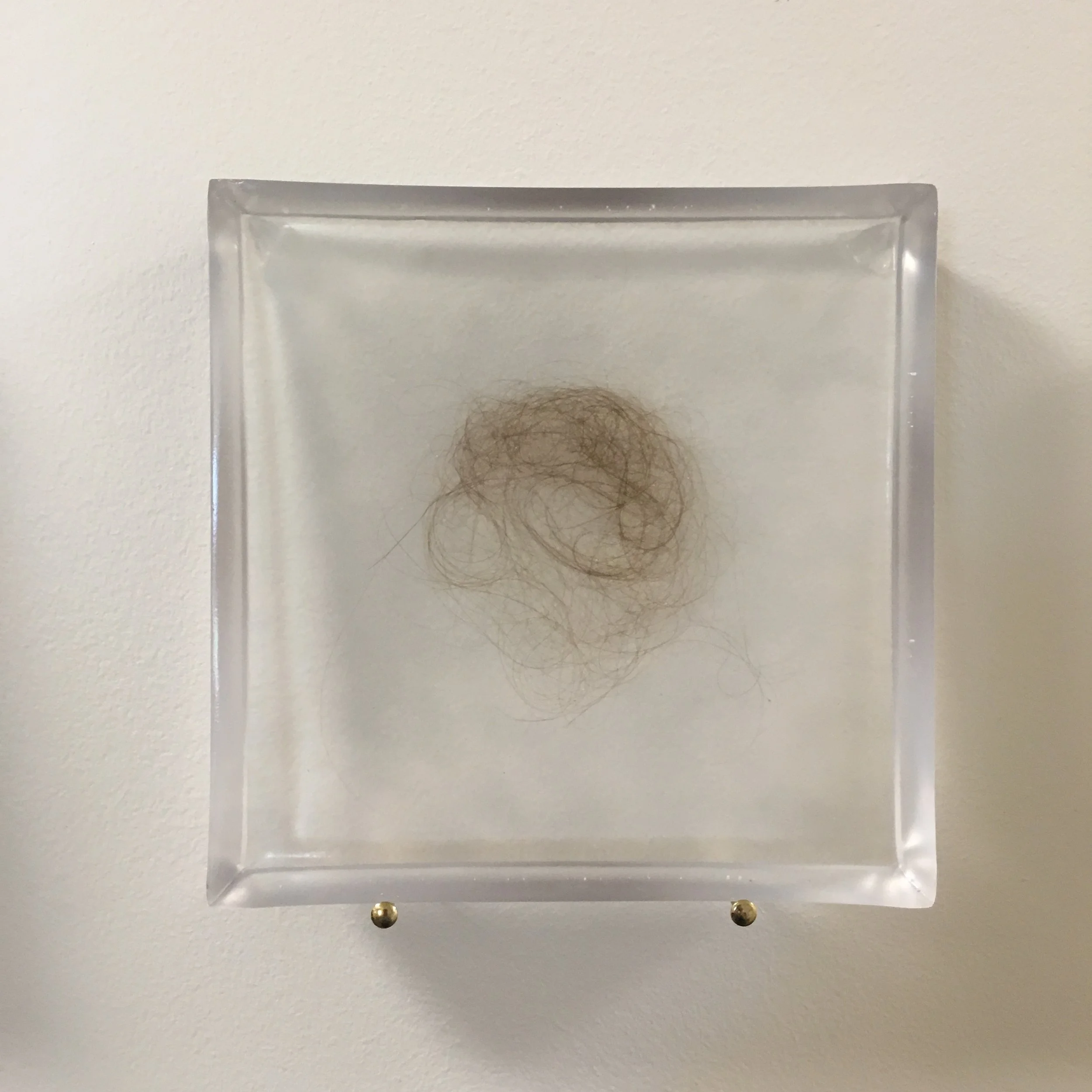   Brushstrokes (after Hannah Wilke) [Fossilized] , Clear polyester resin, artist’s hair, 6 x 6” each (total of five), 2017 (detail) 