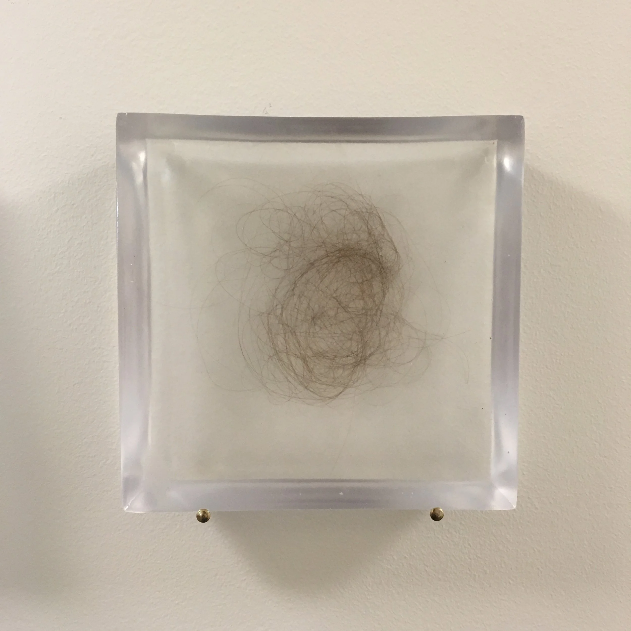   Brushstrokes (after Hannah Wilke) [Fossilized] , Clear polyester resin, artist’s hair, 6 x 6” each (total of five), 2017 (detail) 