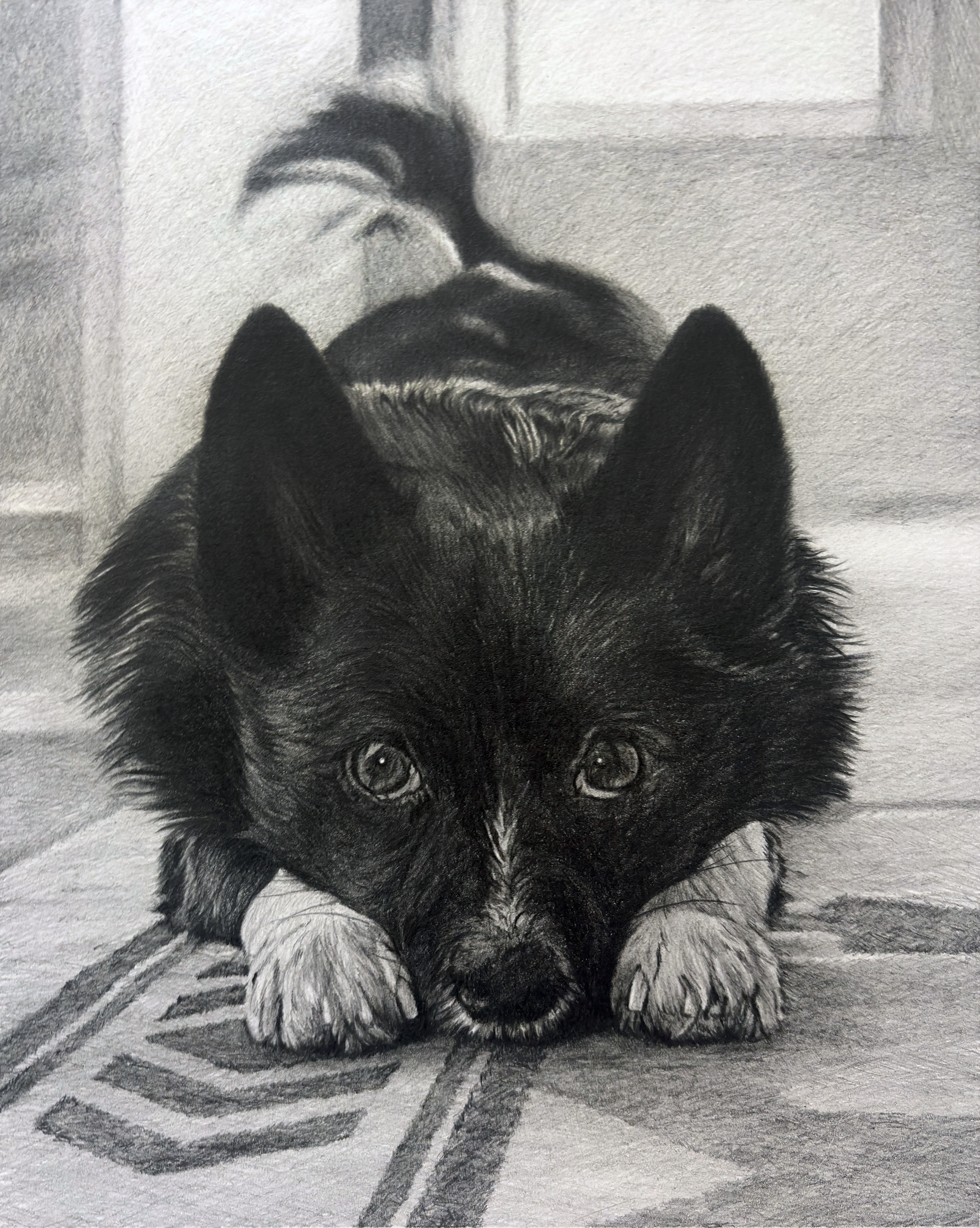  Rigby , 2026, graphite pencil on paper, 10 × 8” 