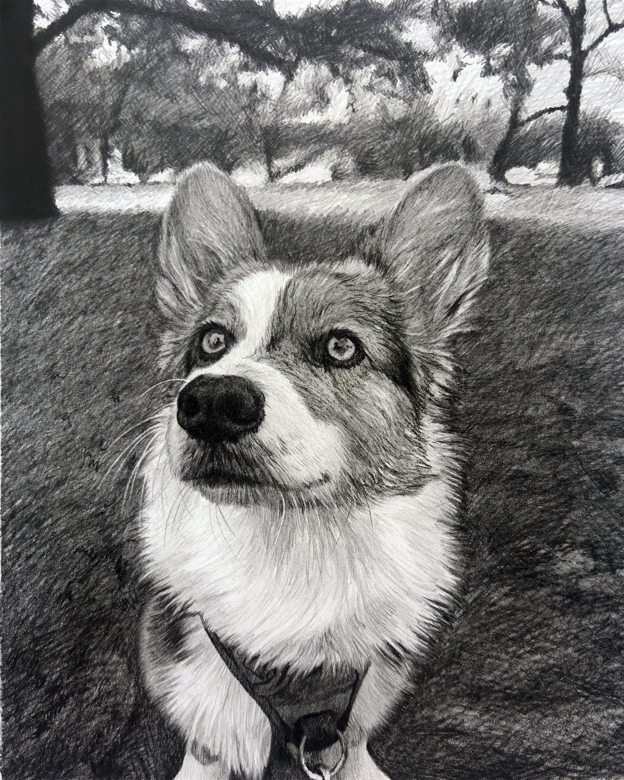   Leslie , 2026, graphite pencil on paper, 10 × 8” 