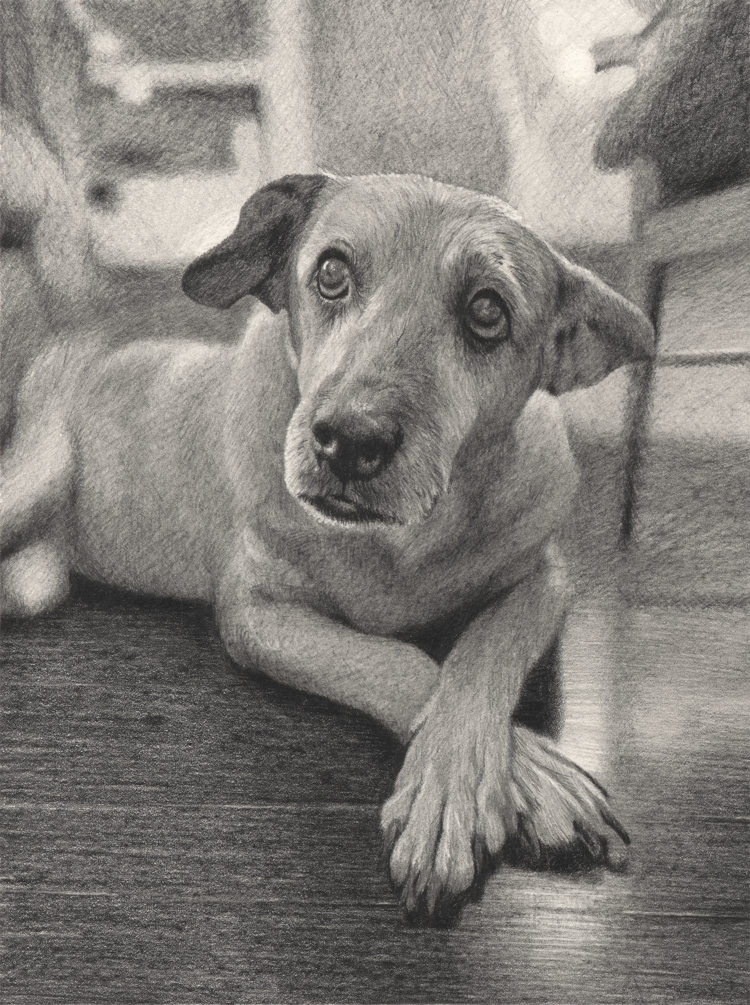   Chloe , 2025, graphite pencil on paper, 7 9/16 x 10 1/8" 