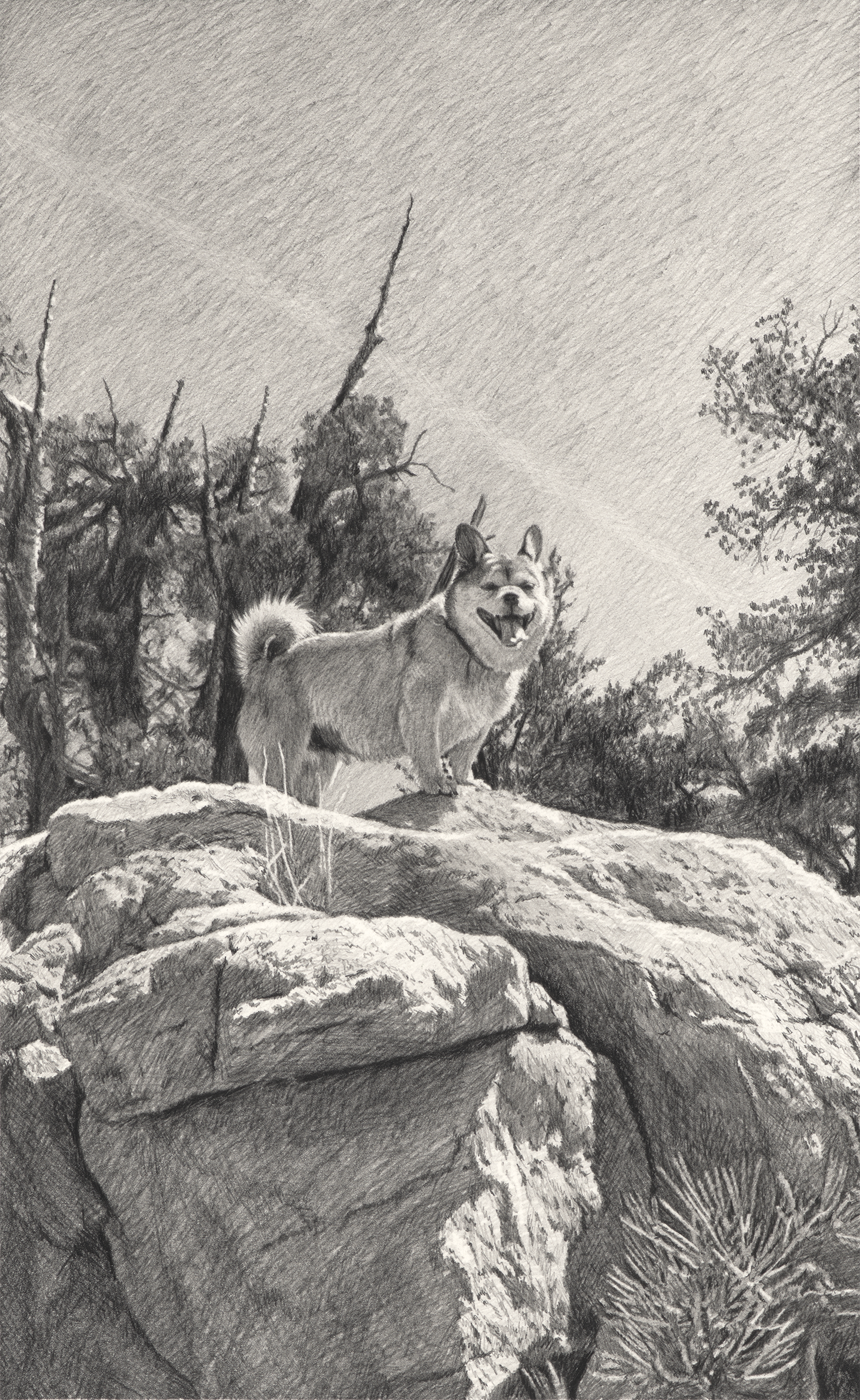   Klaus , 2026, graphite pencil on paper, 11 × 7” 